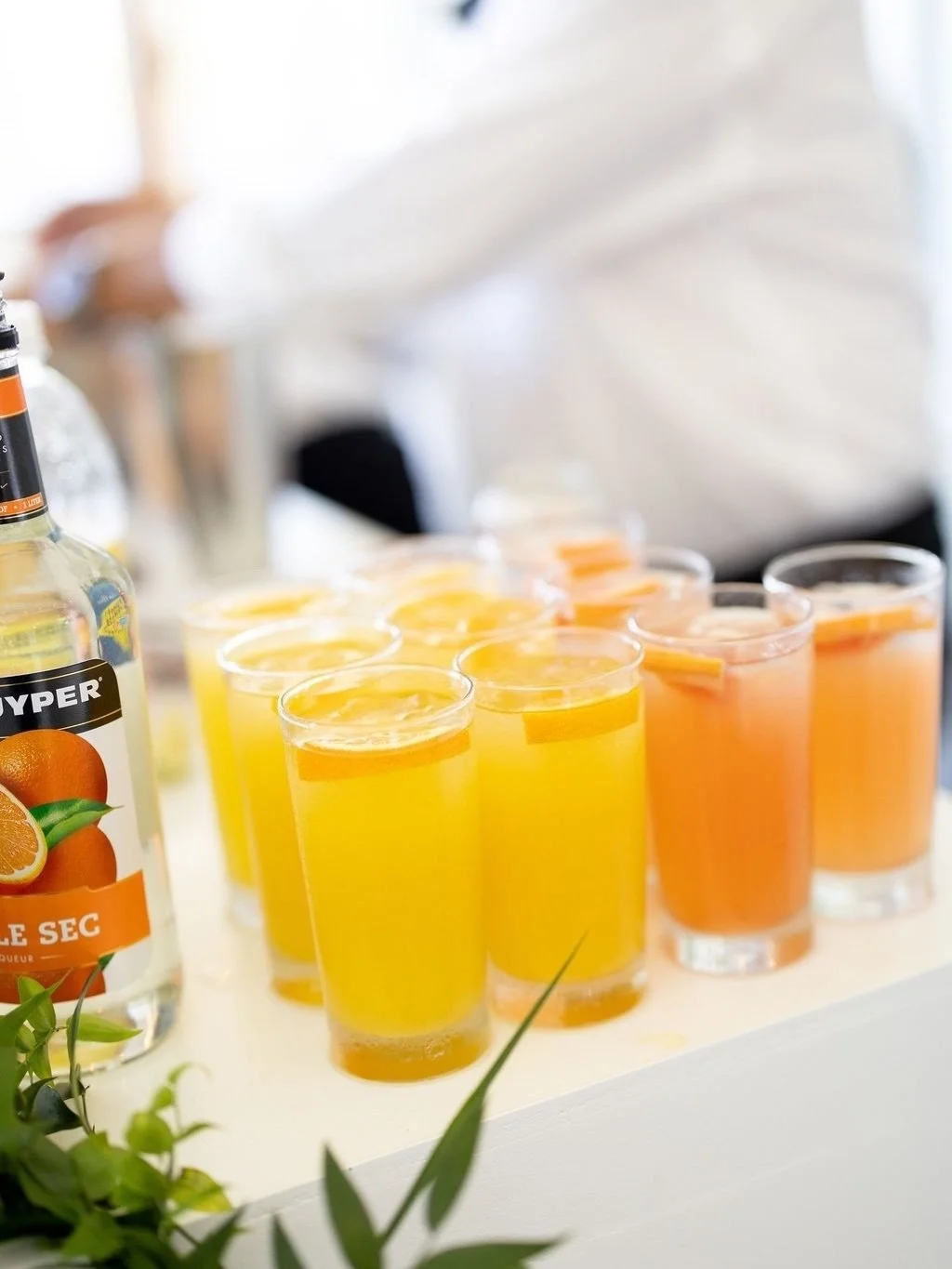 Now that&rsquo;s a bar setup 🍊
⠀⠀⠀⠀⠀⠀⠀⠀⠀
Photographer: @katefineart
Caterer: @kenscreativekitchen
Florist: @willowoaksflowerfarm
Planner: @2handsplanning
⠀⠀⠀⠀⠀⠀⠀⠀⠀
📍 CBF Events, beachfront wedding and event venue in Annapolis Maryland