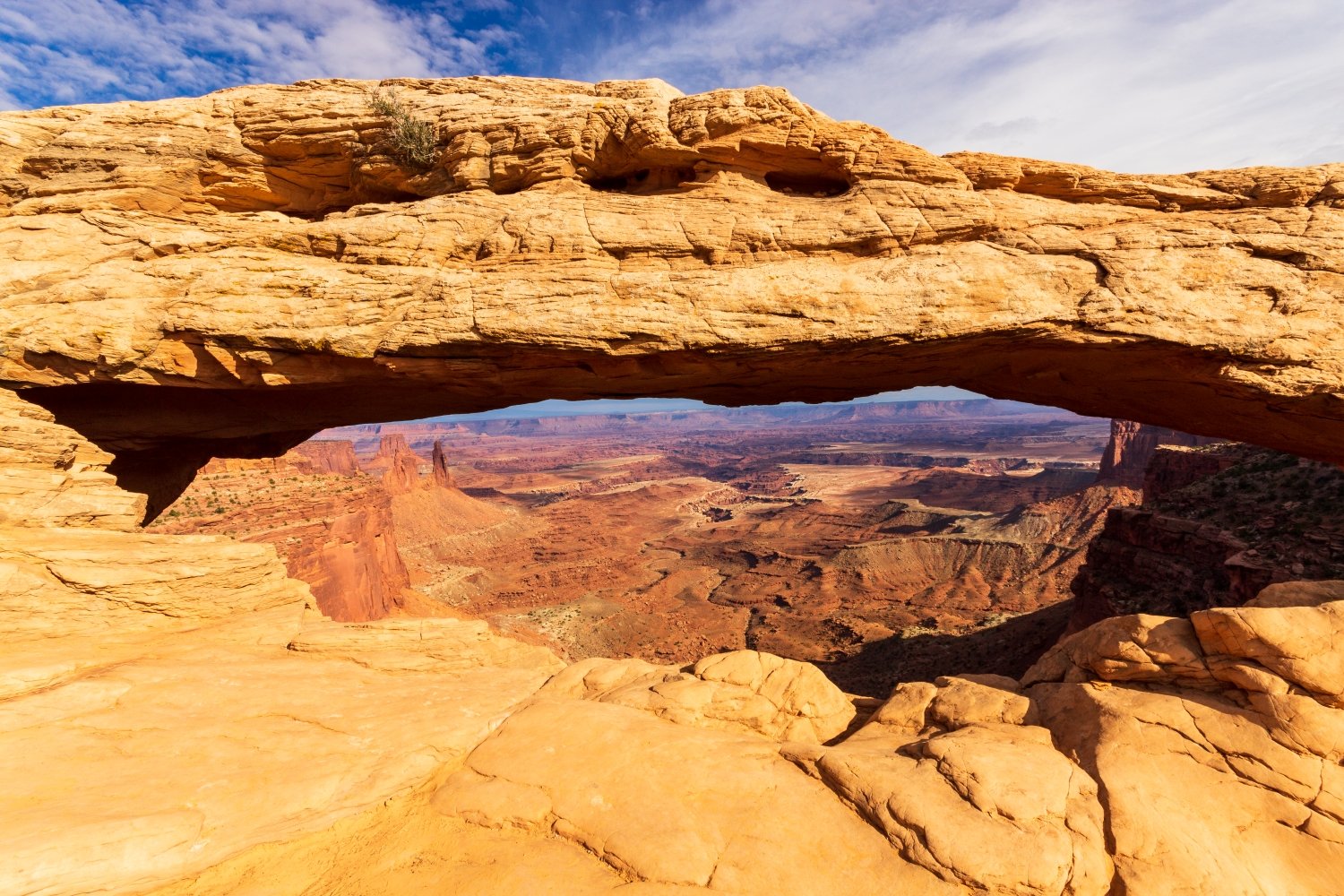 Canyonlands Island in the Sky Messa Arch.jpg