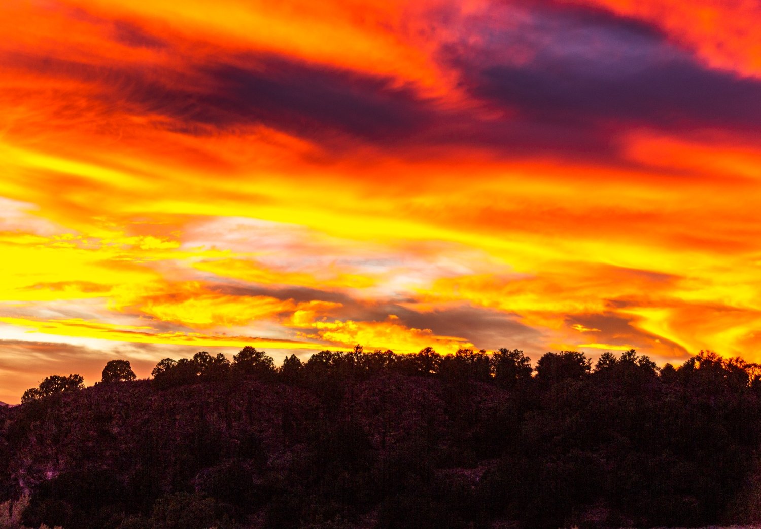 Red Canyon Fire.jpg