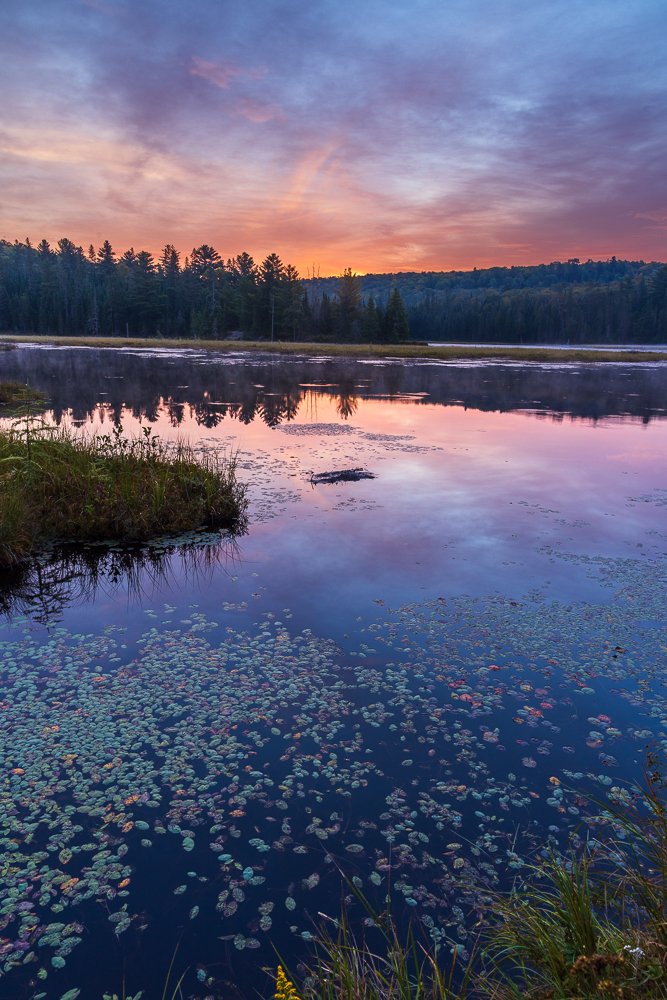 Algonquin Mist cropped post Gigapixel-16.jpg