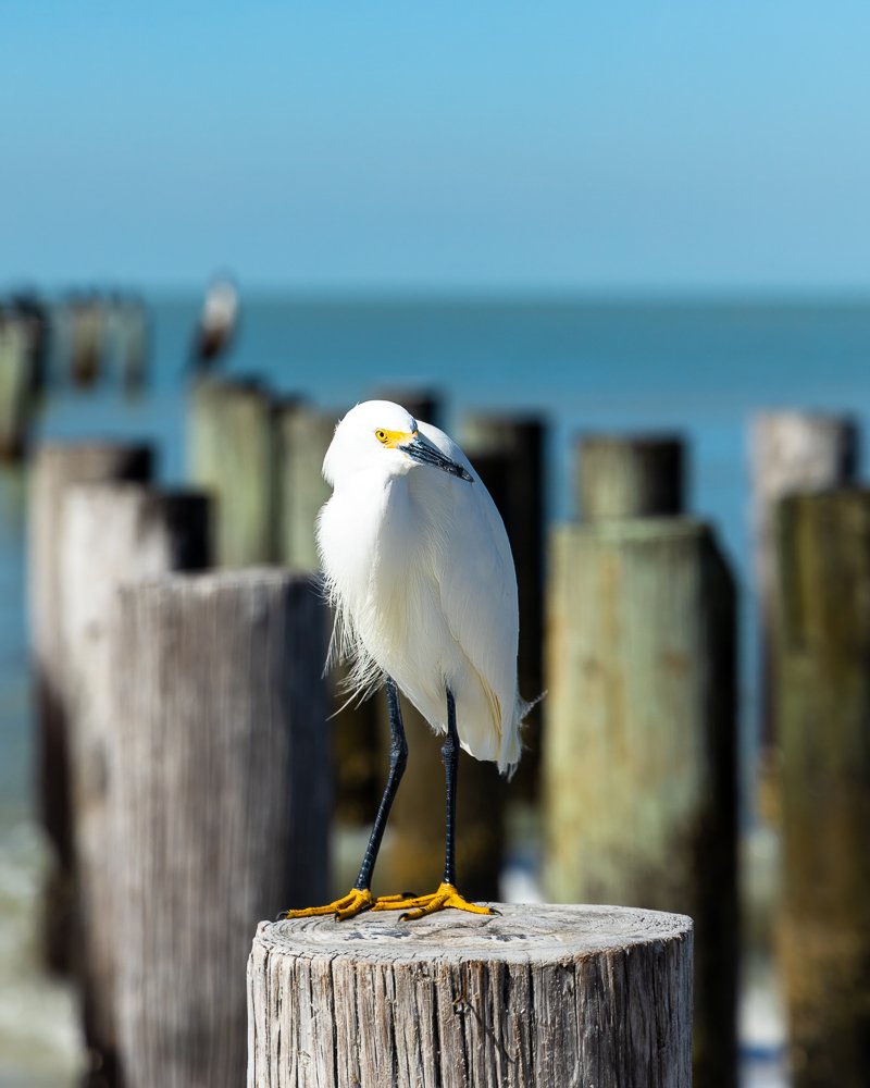 0O4A8067-Edit-Edit.jpg