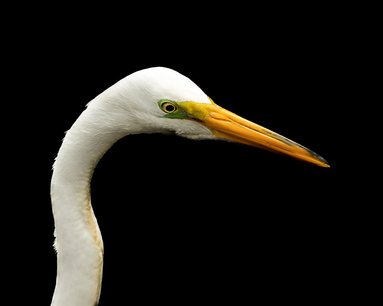 0O4A8136-Edit.jpg