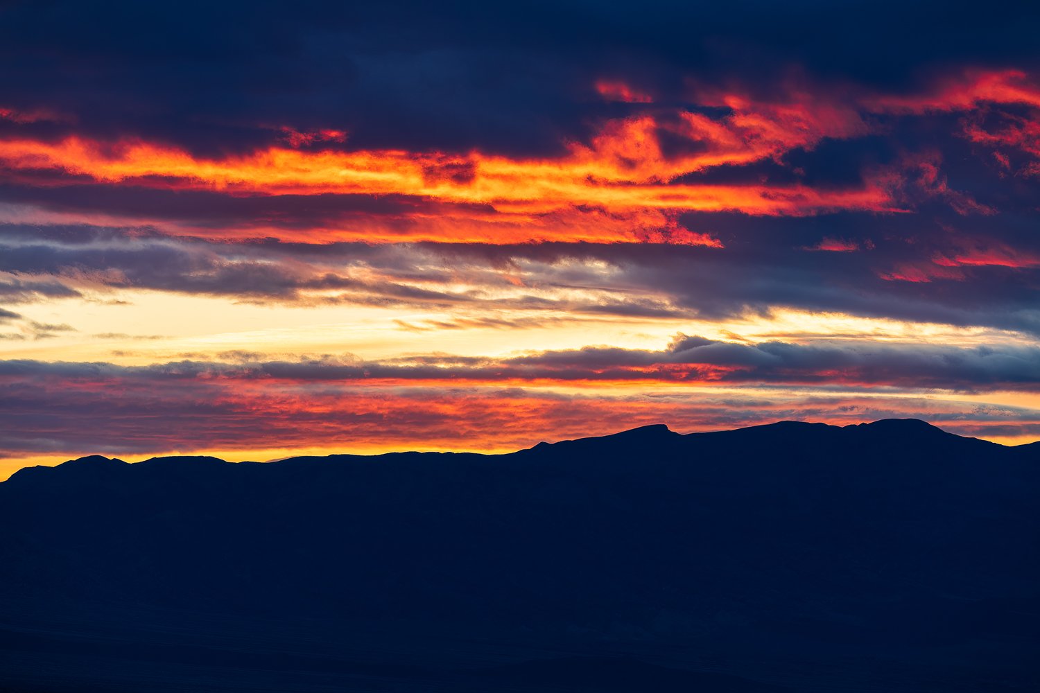 0O4A8365-Edit.jpg