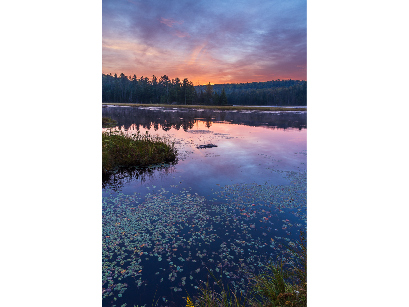 blue-dawn-horizontal.png