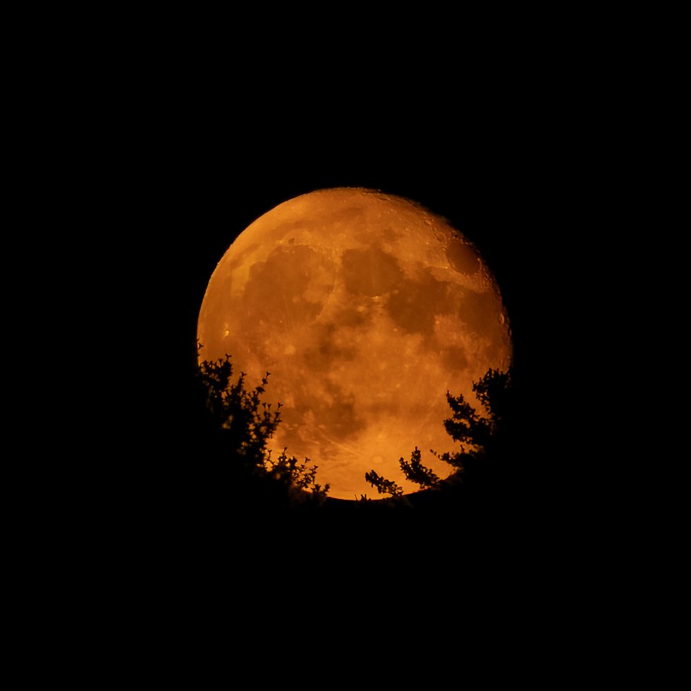 Super-Full-Moon.jpg