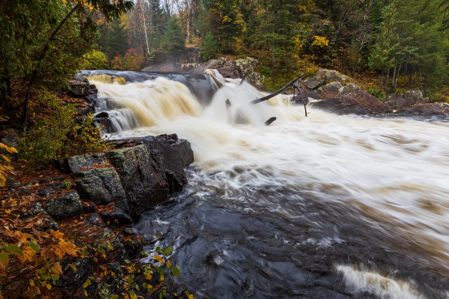 "Hear the Roar" Muskoka, Ontario, Canada.
The waterfall highlighted the golden colour that was flowing this fall.