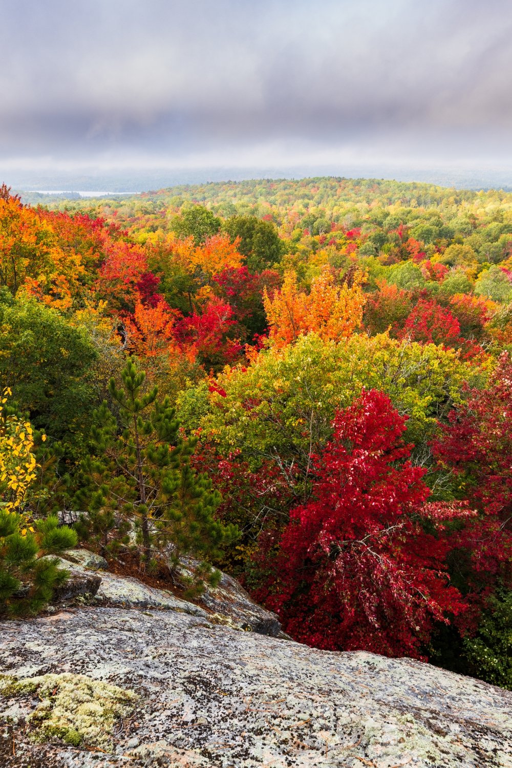 "Fire" Algonquin Park, Ontario, Canada.
Hiking the trails is a great way to see some of the truly unbelievable fall colours. Some of the reds looked like an explosion of fire.