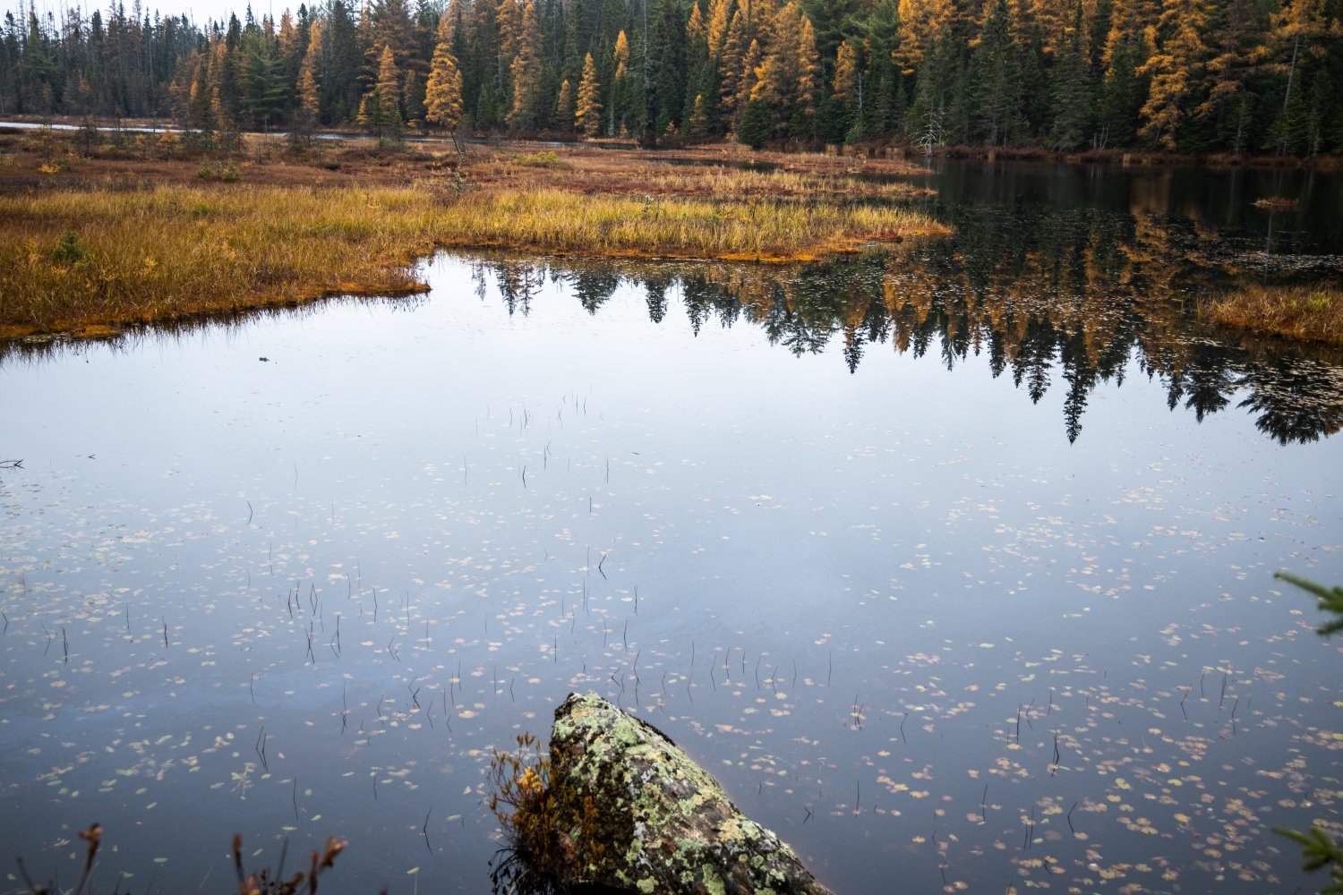 "Into the Blue" Algonquin Park, Ontario, Canada