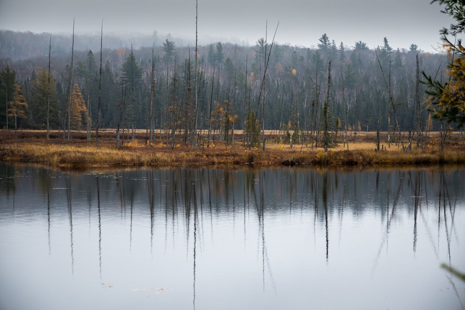 "Algonquin Mist" Algonquin Park, Ontario, Canada