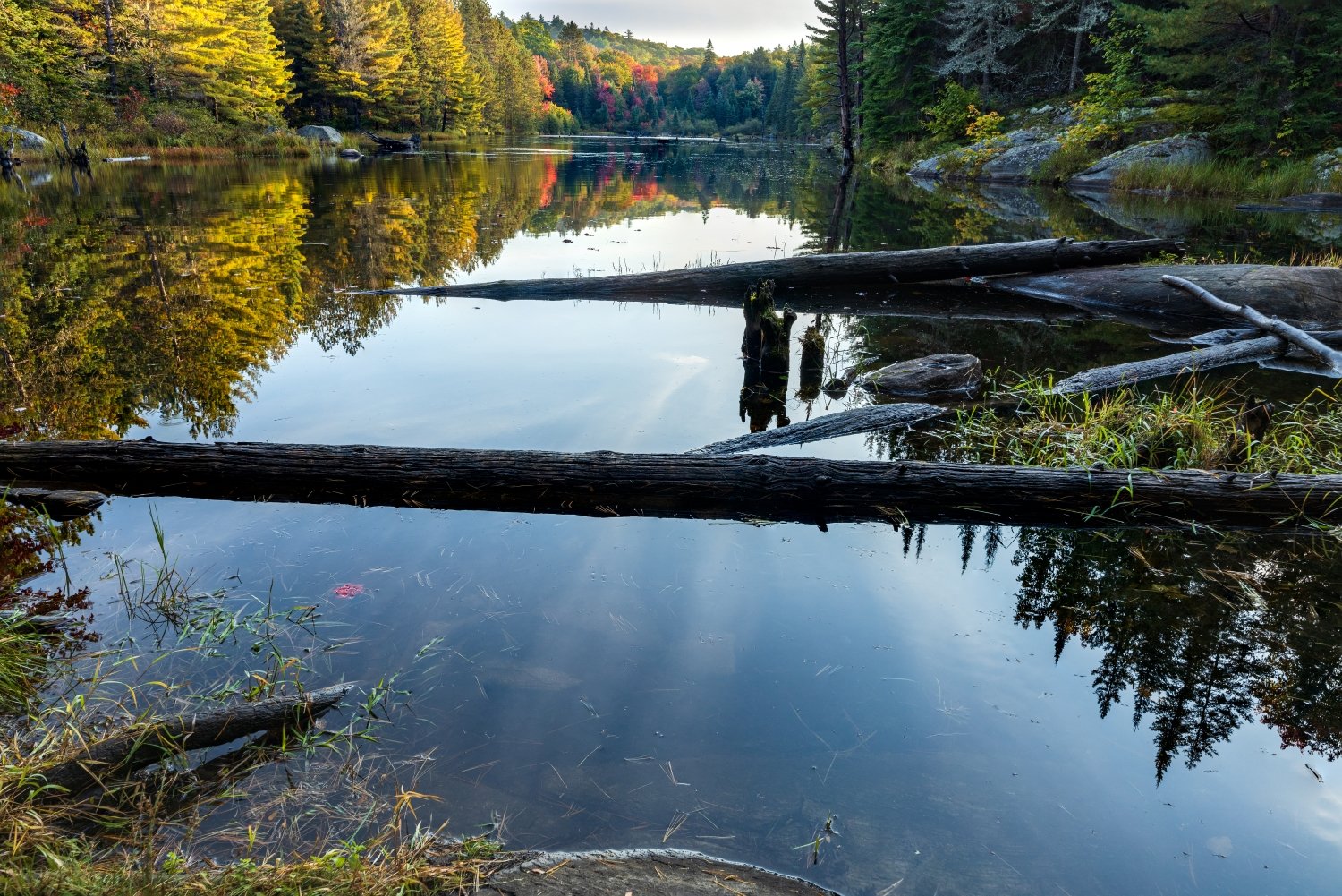 “Serenity” Algonquin Park, Ontario, Canada.
Another hike in Algonquin paid off with a rewarding image.