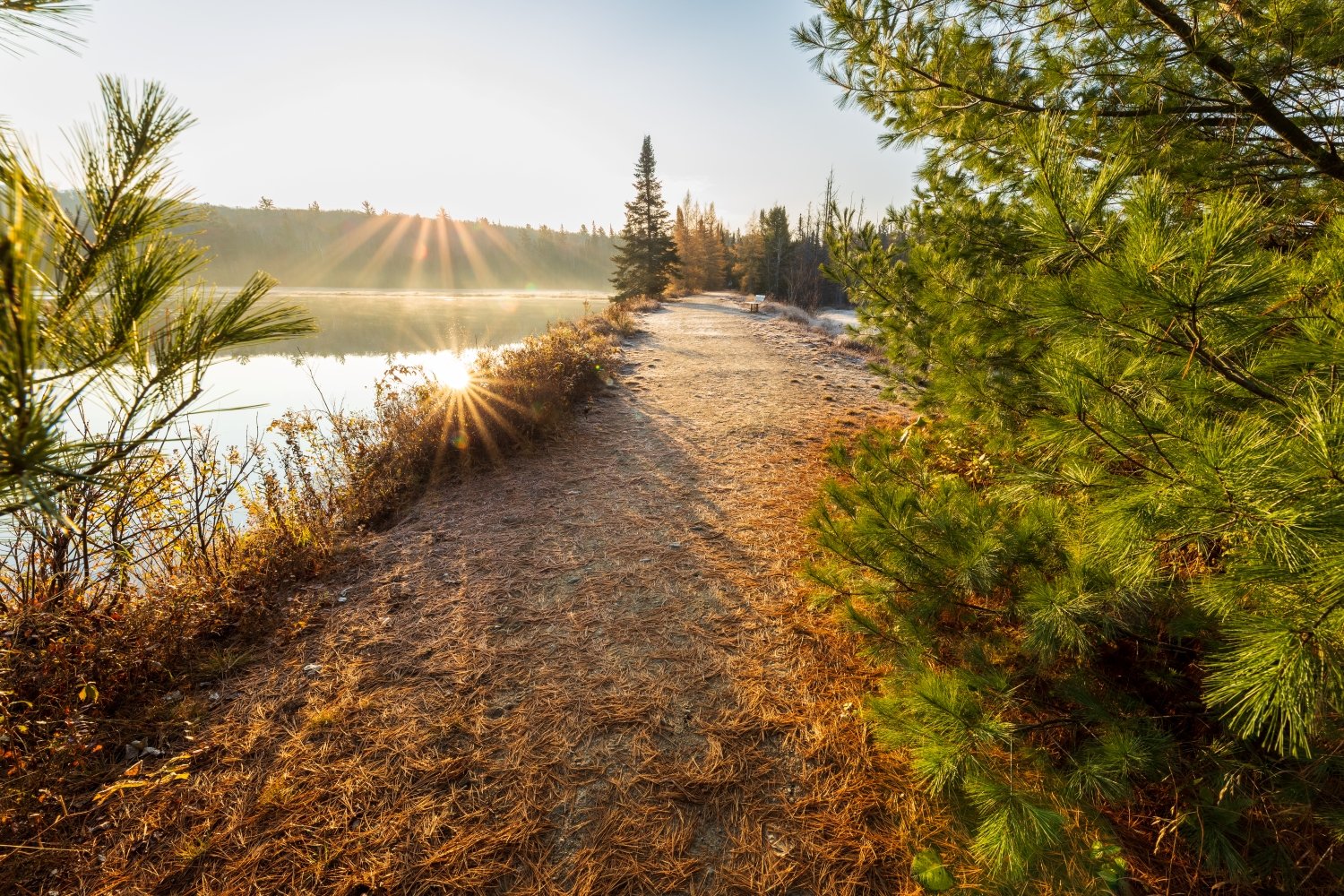 "Path to Heaven" Algonquin Provincial Park, Ontario, Canada.