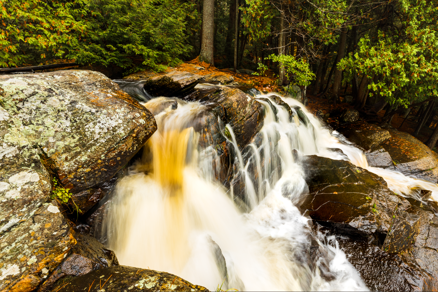 "Liquid Gold" Muskoka, Ontario, Canada.
This wasn't my first trip to these falls in Muskoka and it won't be the last. The golden colour of the water was striking!