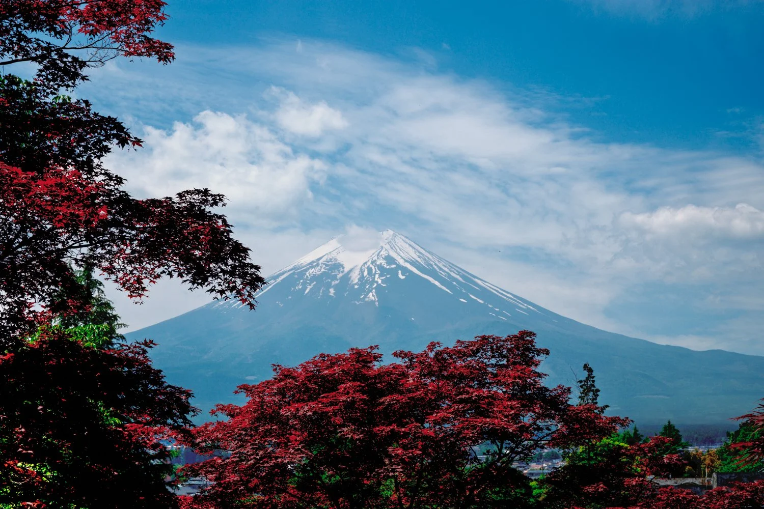 Mt.-Fuji.JPG