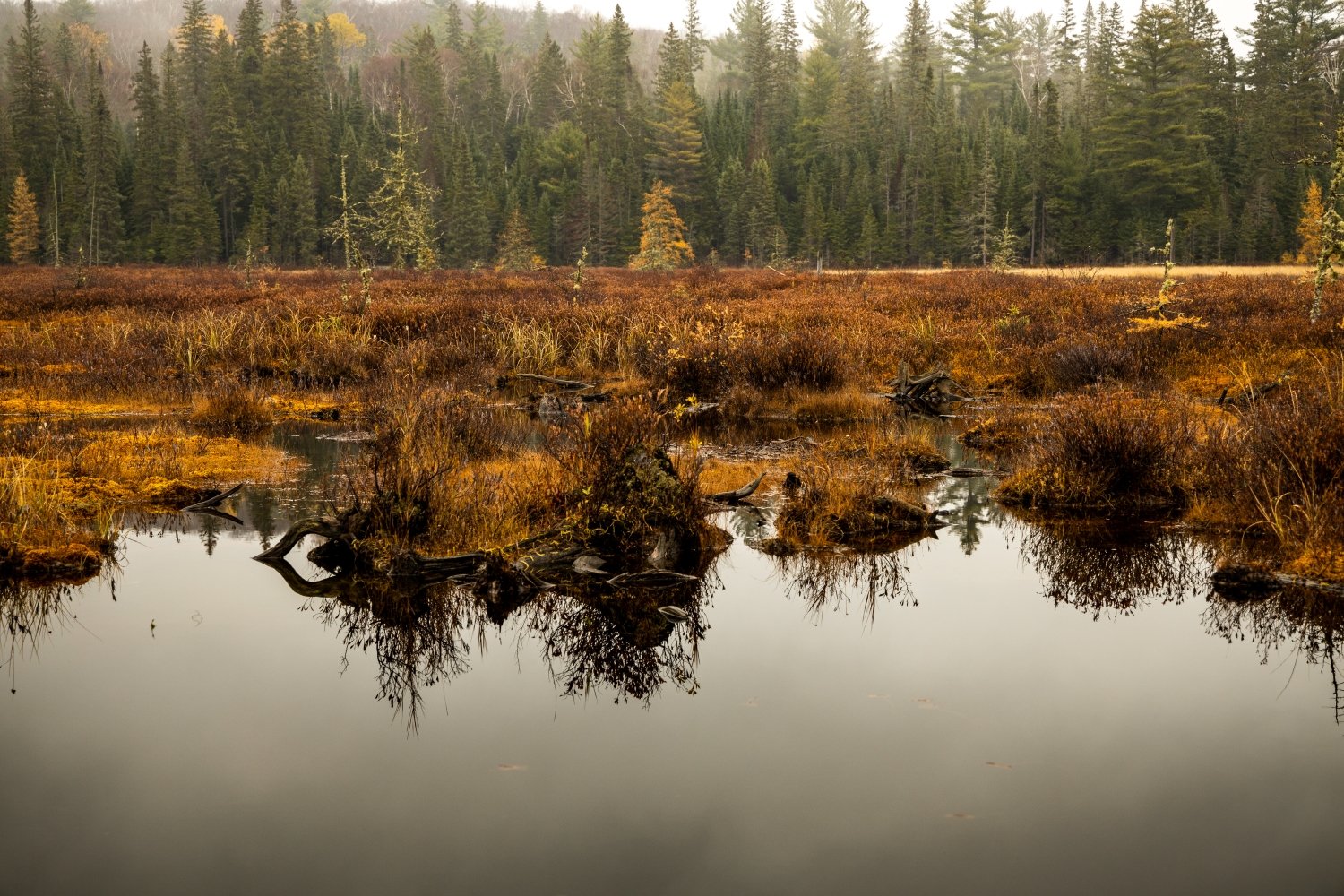 "Grey Steel" Algonquin Park, Ontario, Canada