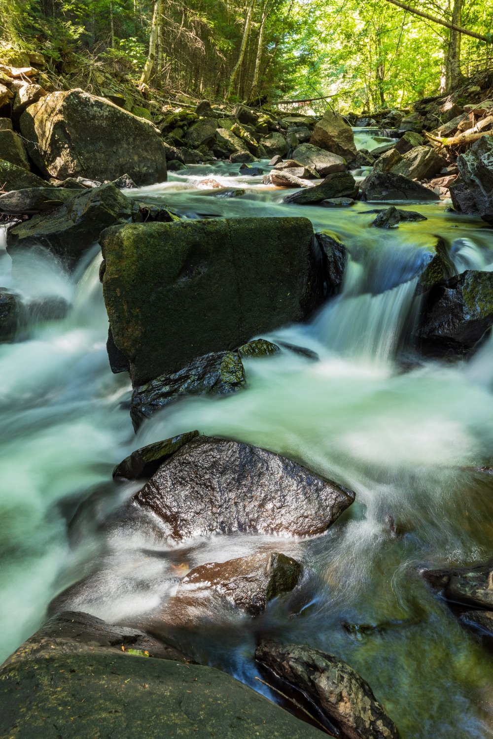 "Babbling Brook" Algonquin Park, Ontario, Canada