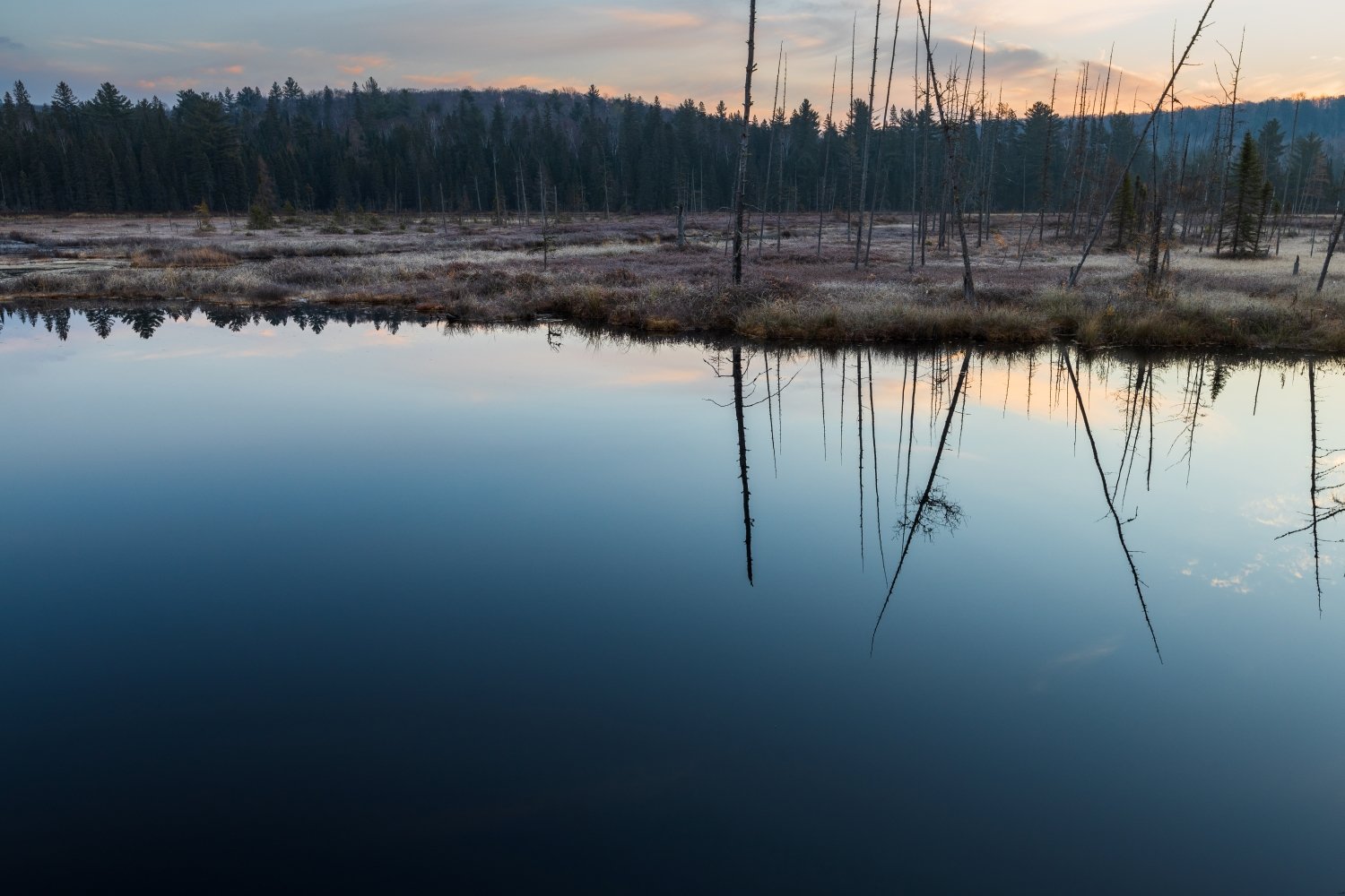 "Peaceful" Algonquin Park, Ontario, Canada