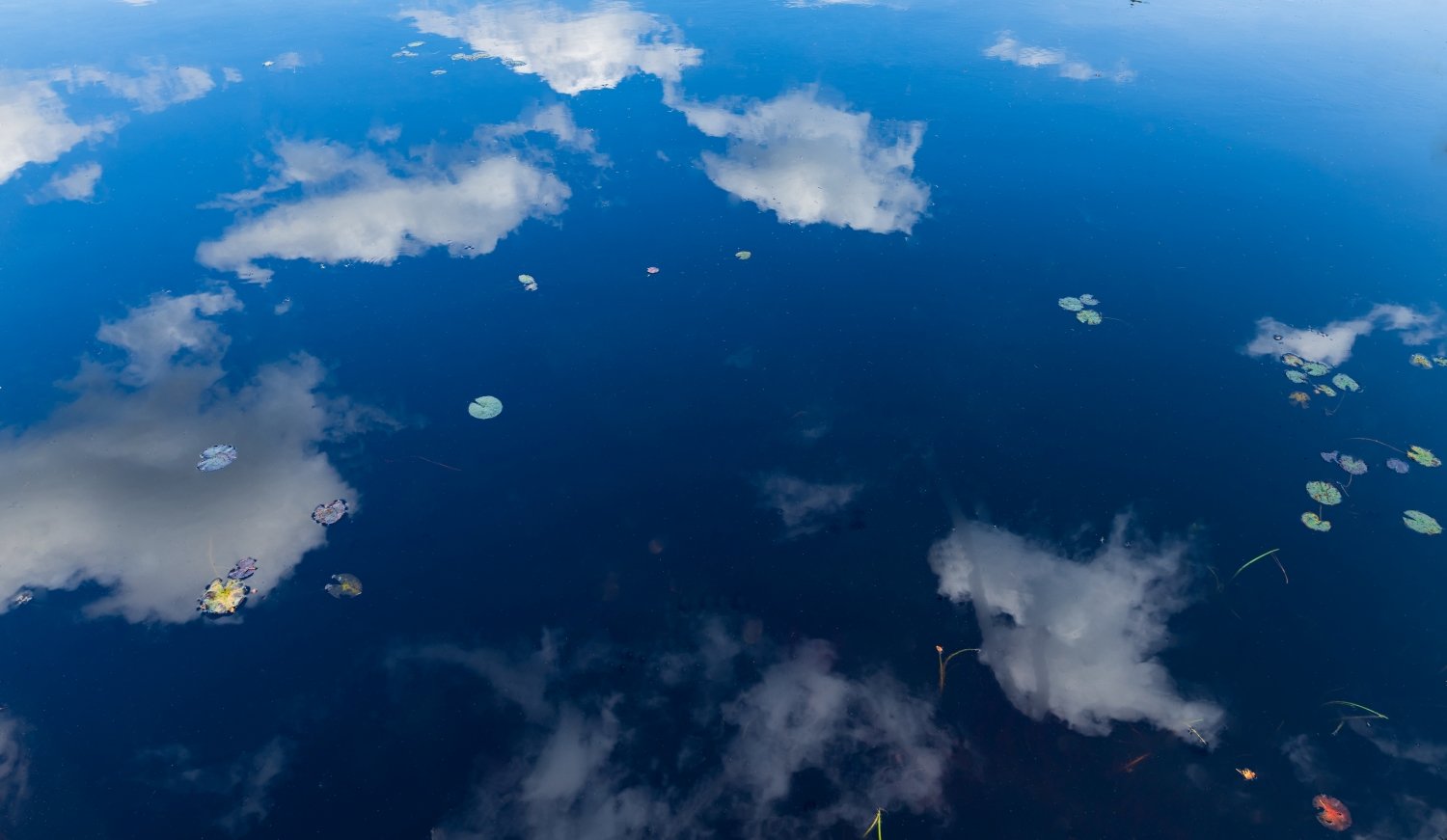 “Lilies in the Sky” Algonquin Park, Ontario, Canada.
Hiking in Algonquin Park never fails to impress. In this case, I had been to the lake numerous times and had returned repeatedly waiting for all the elements to come together. I was rewarded wit