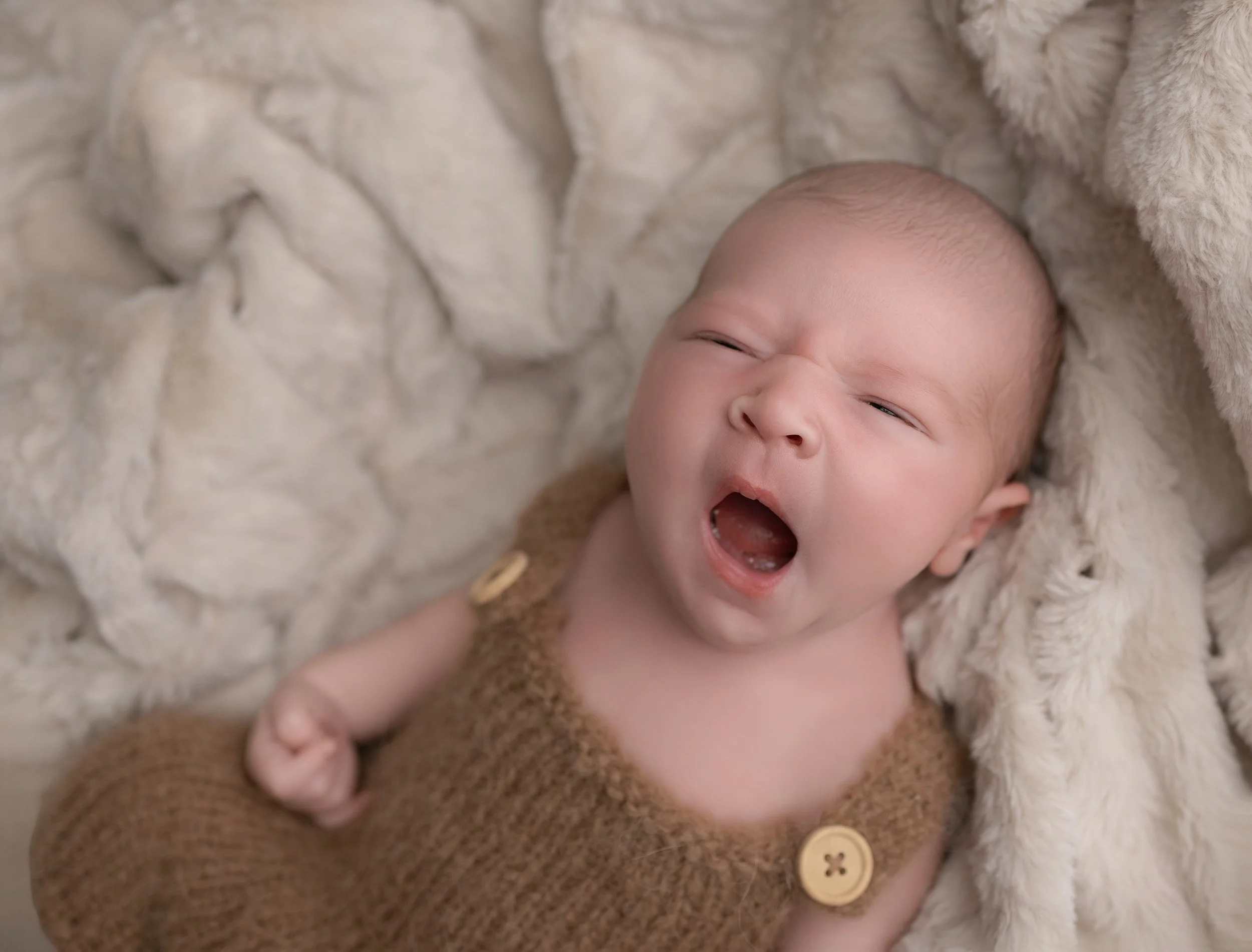 newborn photoshoot chorley