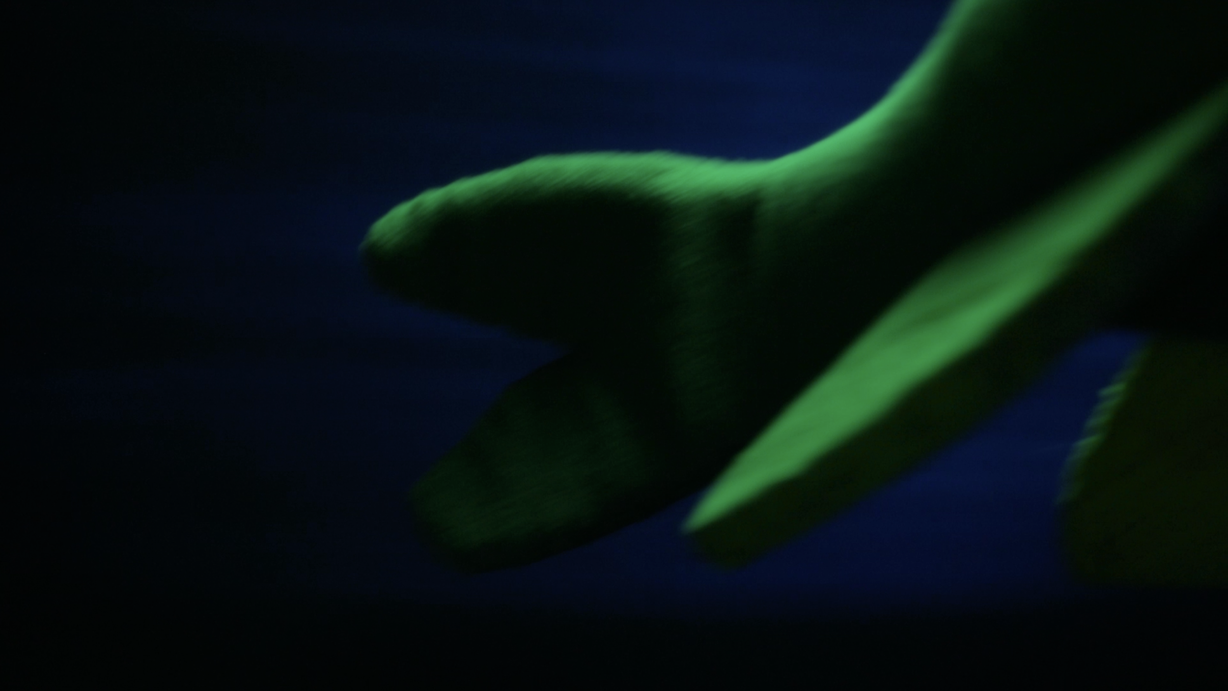 Screenshot 2023-09-14 at 15.51.10.png