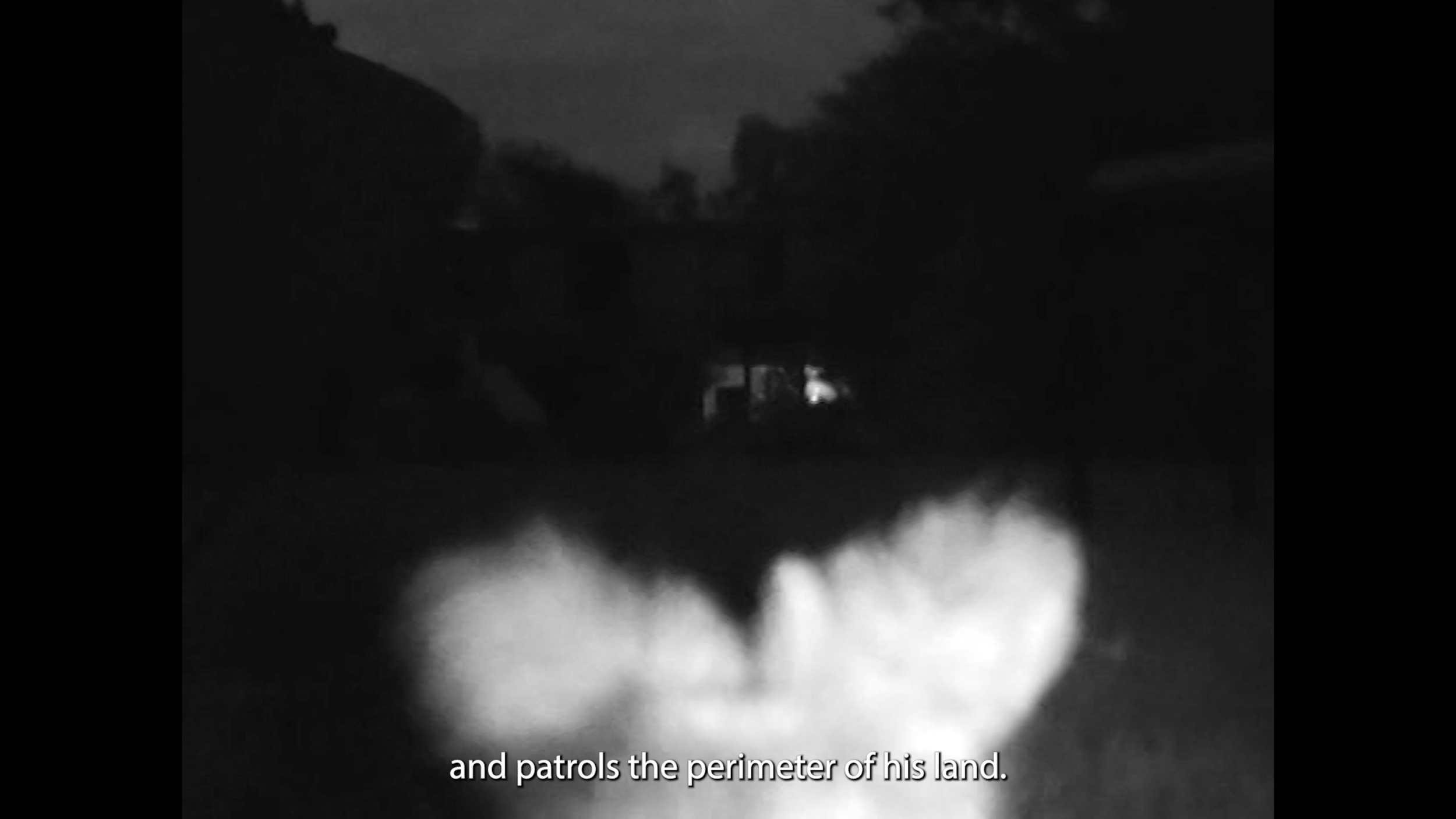 CATS00010.png