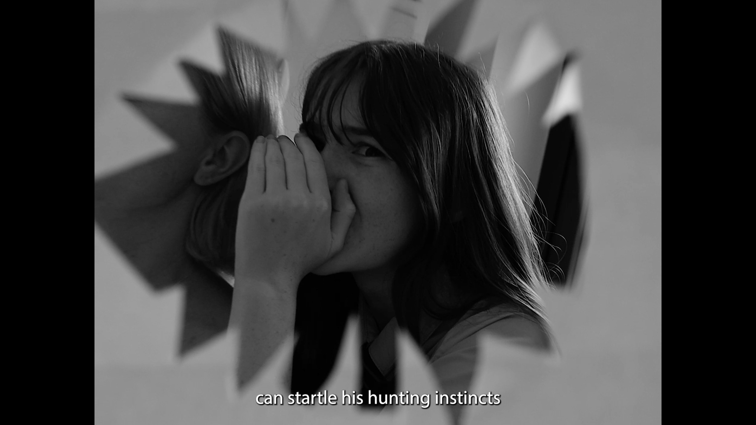 CATS00003.png