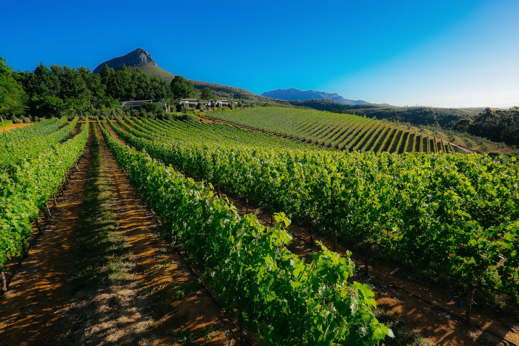 Delaire Graaf - Stellenbosch, South Africa