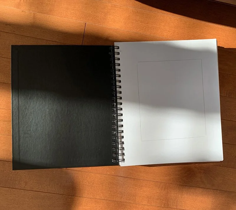 My 100 Day Sketchbook Project — ANN ROTH ART
