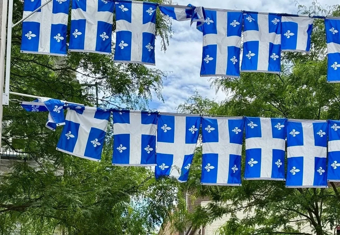 Blue and white flags of the Province of Quebec strung above a street in Quebec City.