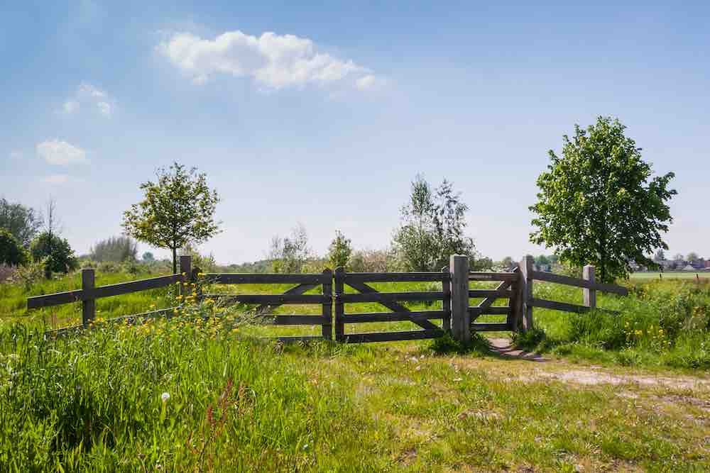 Misusing Chesterton's Fence - Econlib