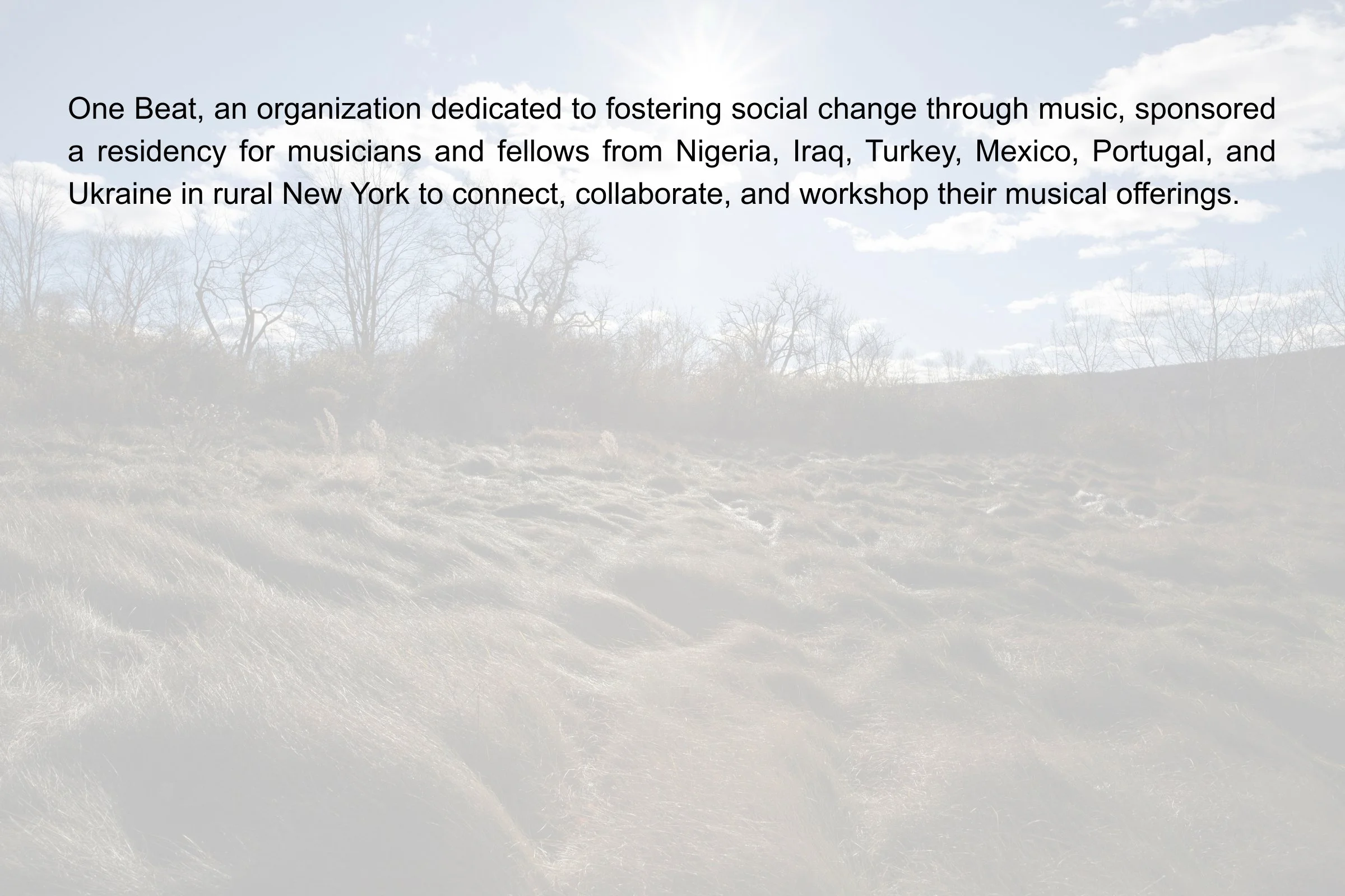 Musicians for Social Change final.jpg