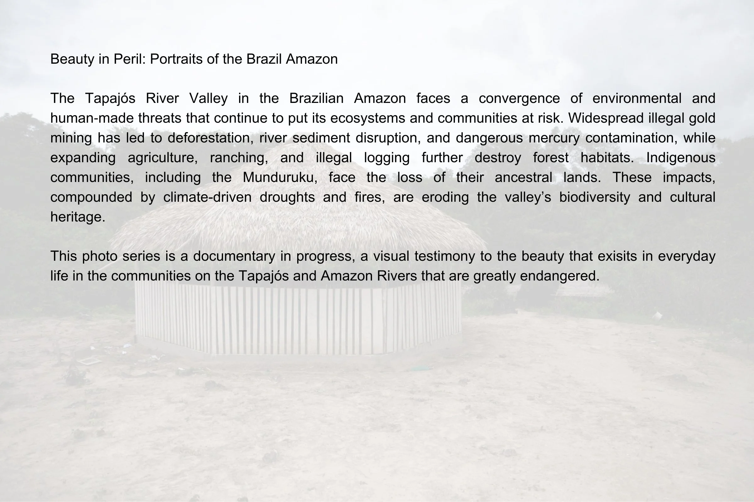 Brazil Amazon  2.jpg