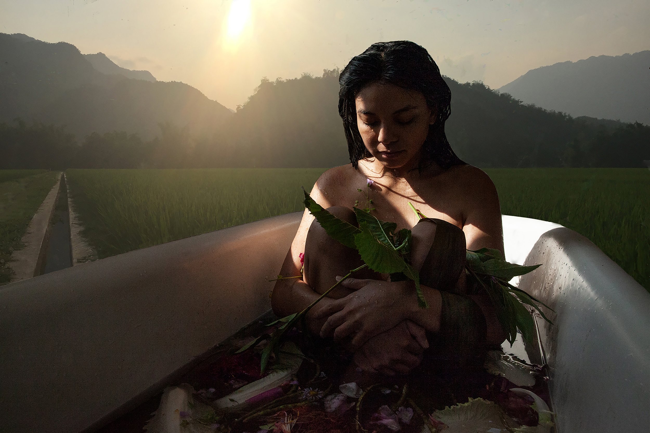 Pavina Ricefield Cambodia V4 copy.jpg