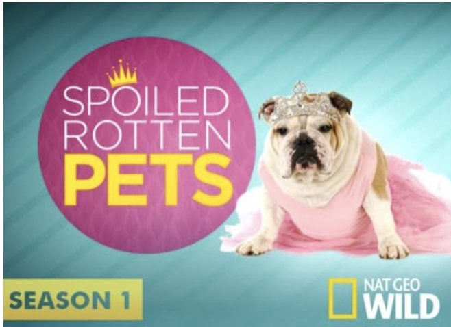 Spoiled Rotten Pets, Nat Geo Wild Documentary Series poster