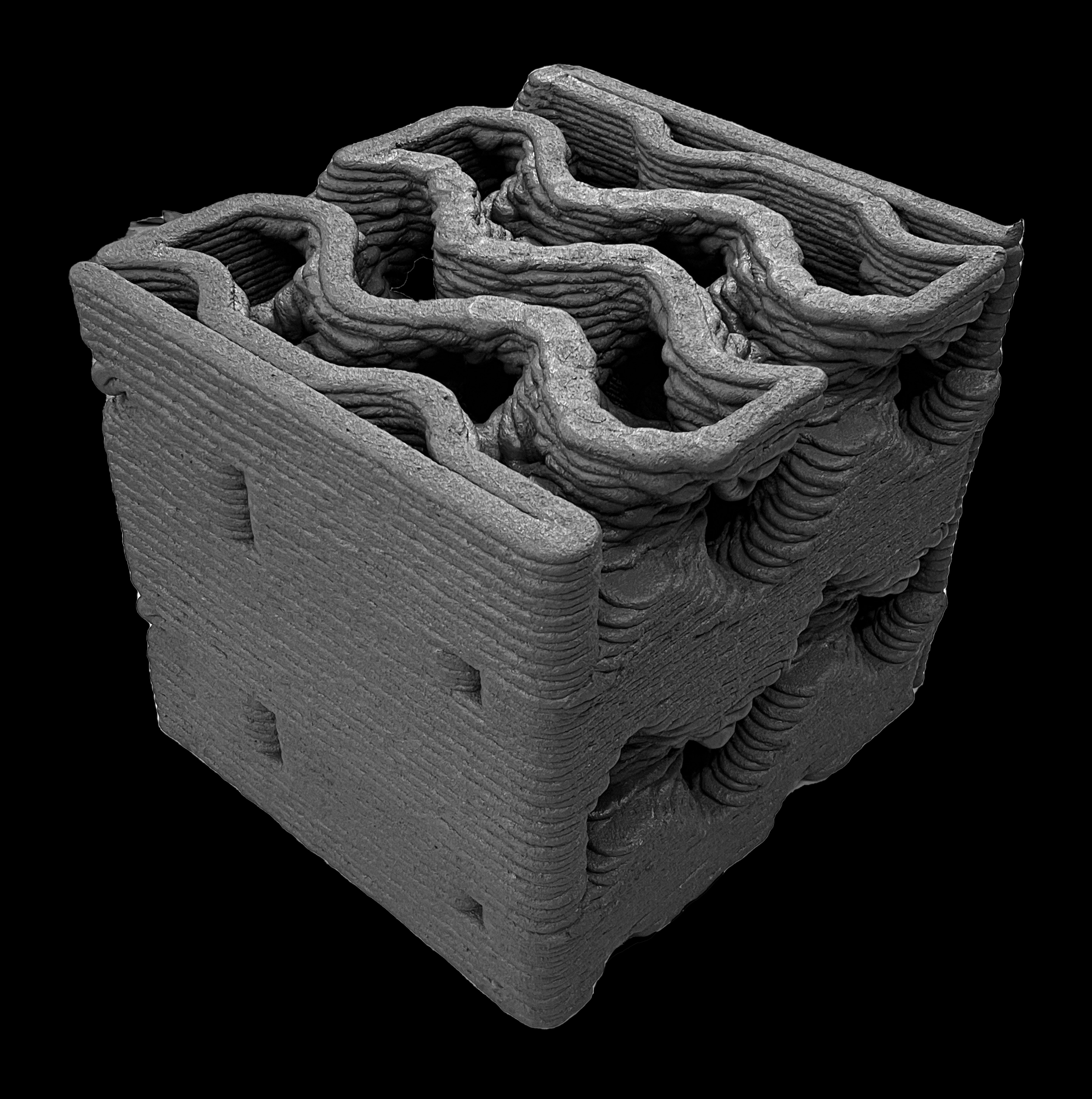 IMG_2708 bw.png