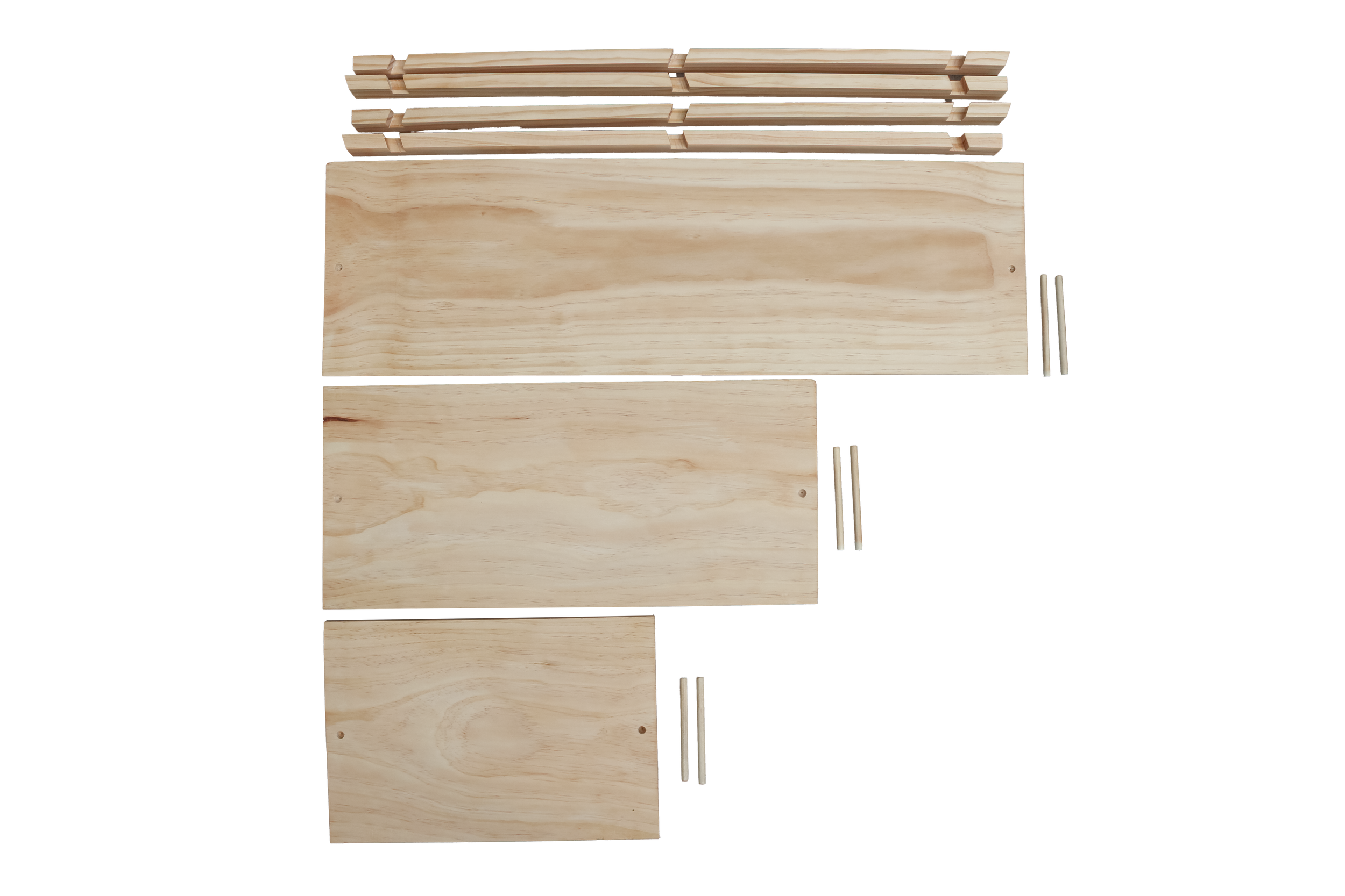 Shelf-16.png