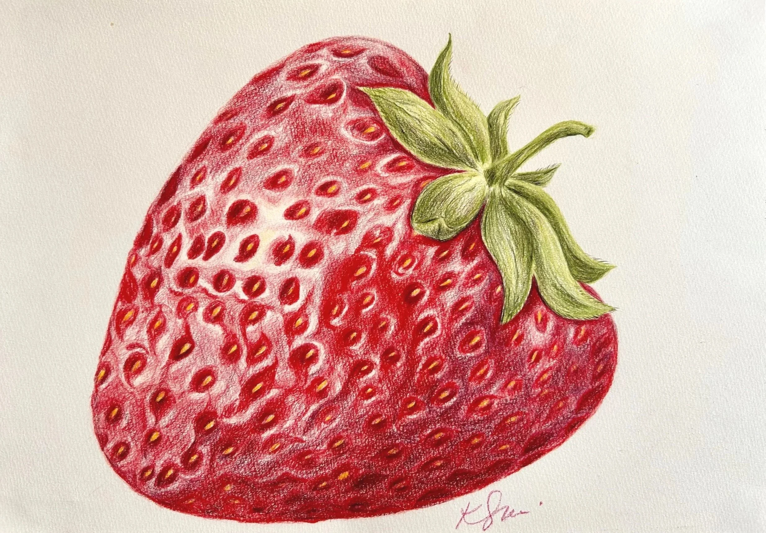 Truskawa / Colored pencils on paper, 2024