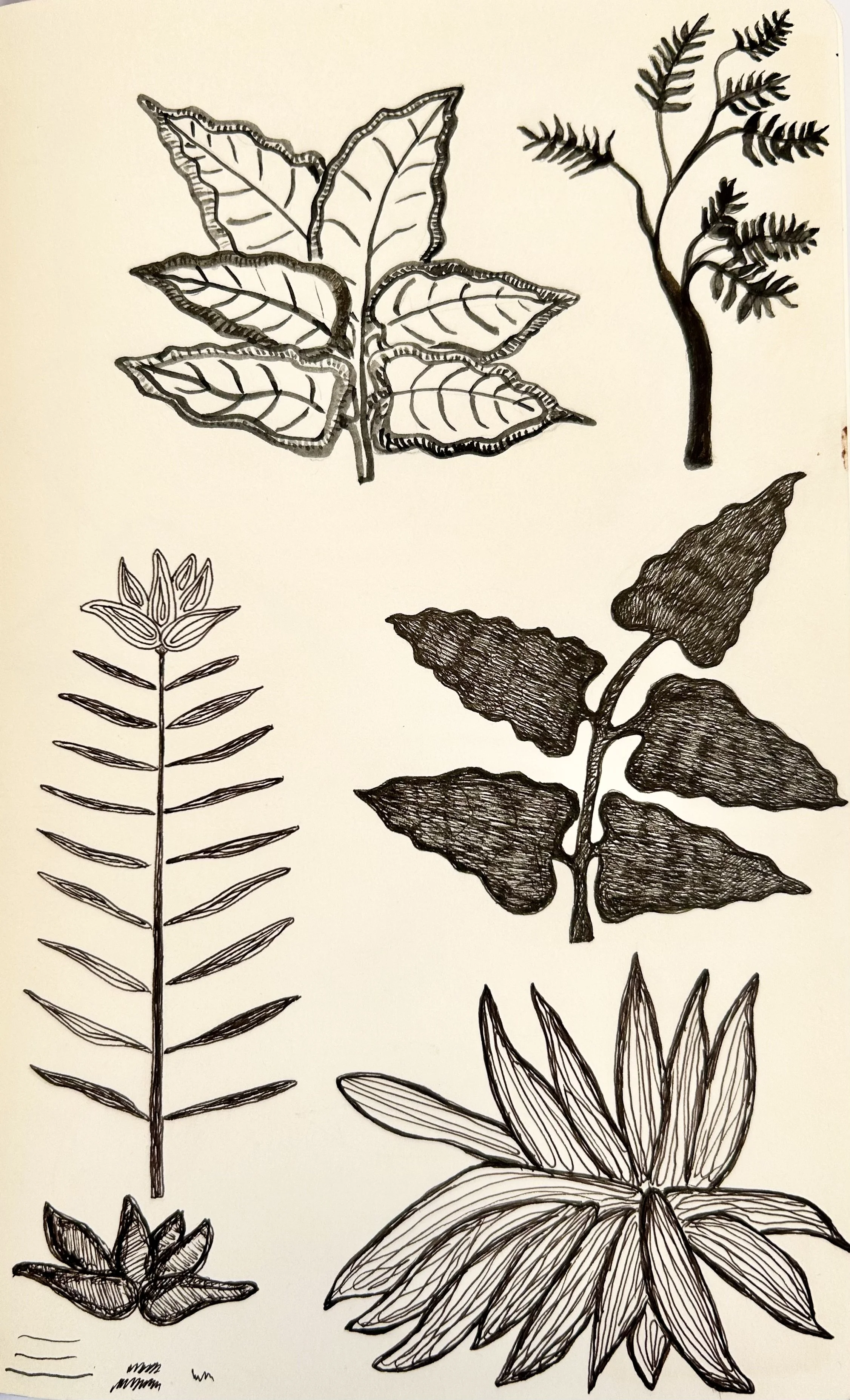 Leaves 01 / Pigment ink on paper, 2020