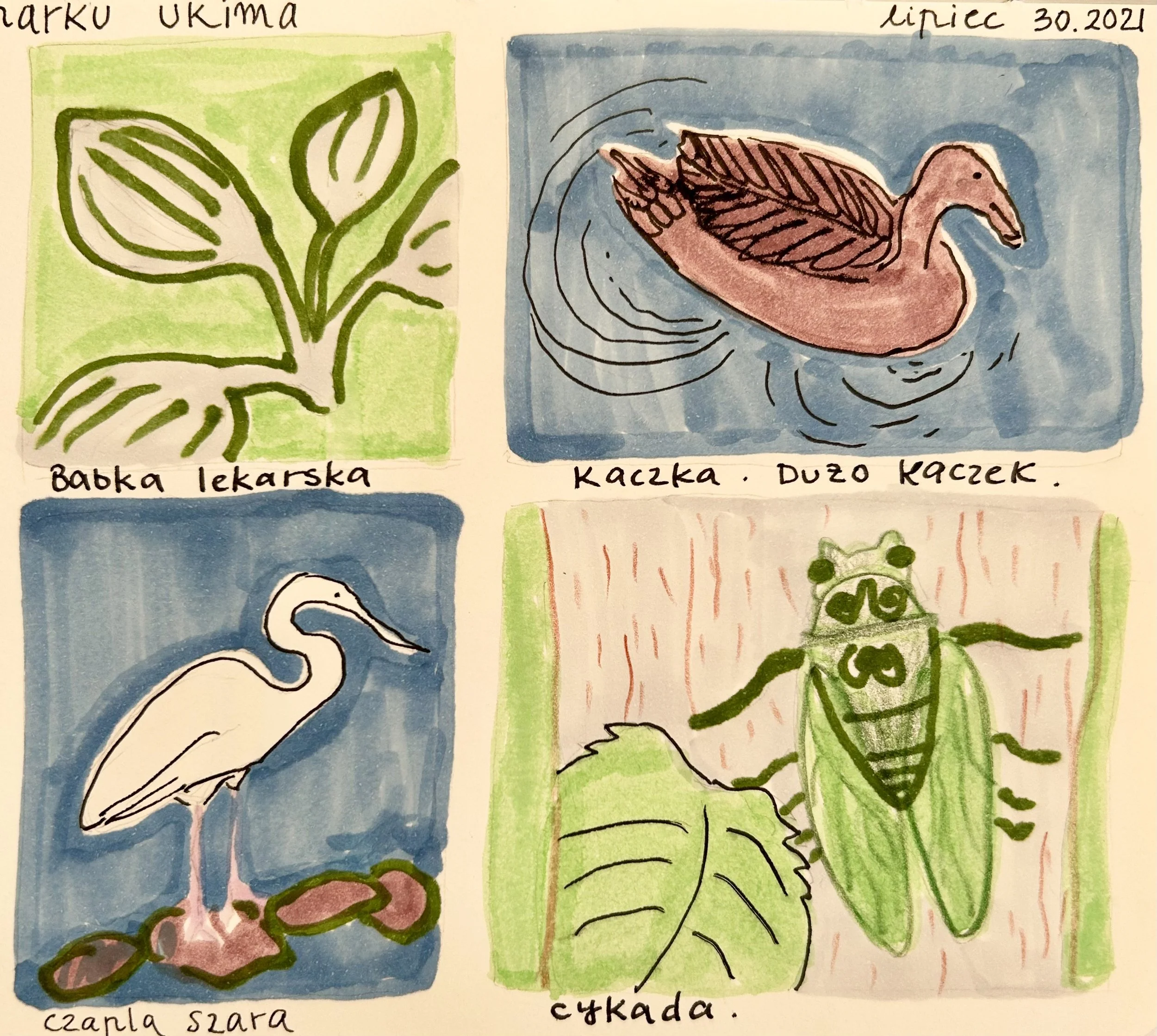 On a Walk #01 / Markers on Paper, 2022 