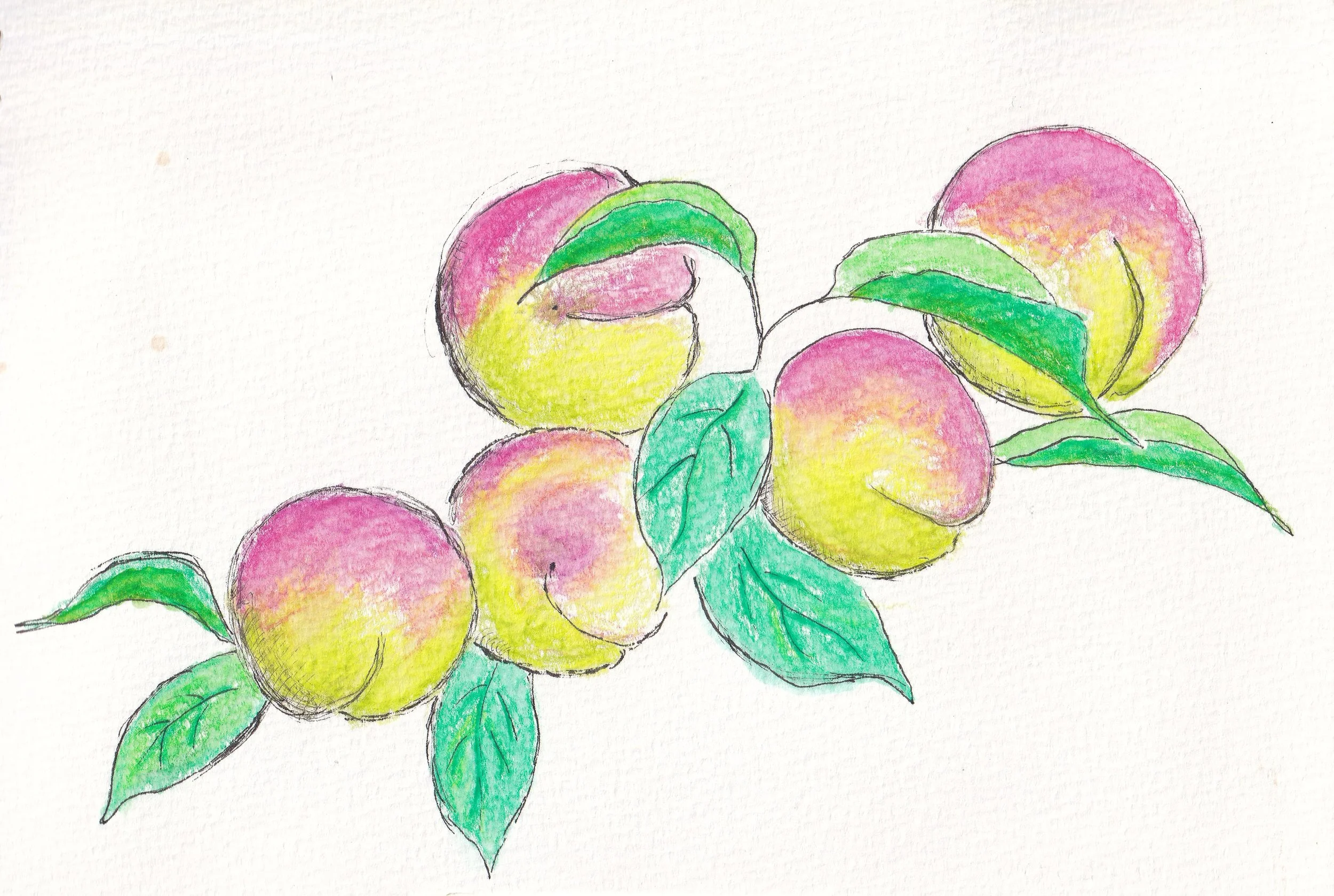 Ume / Colored pencils on paper, 2020