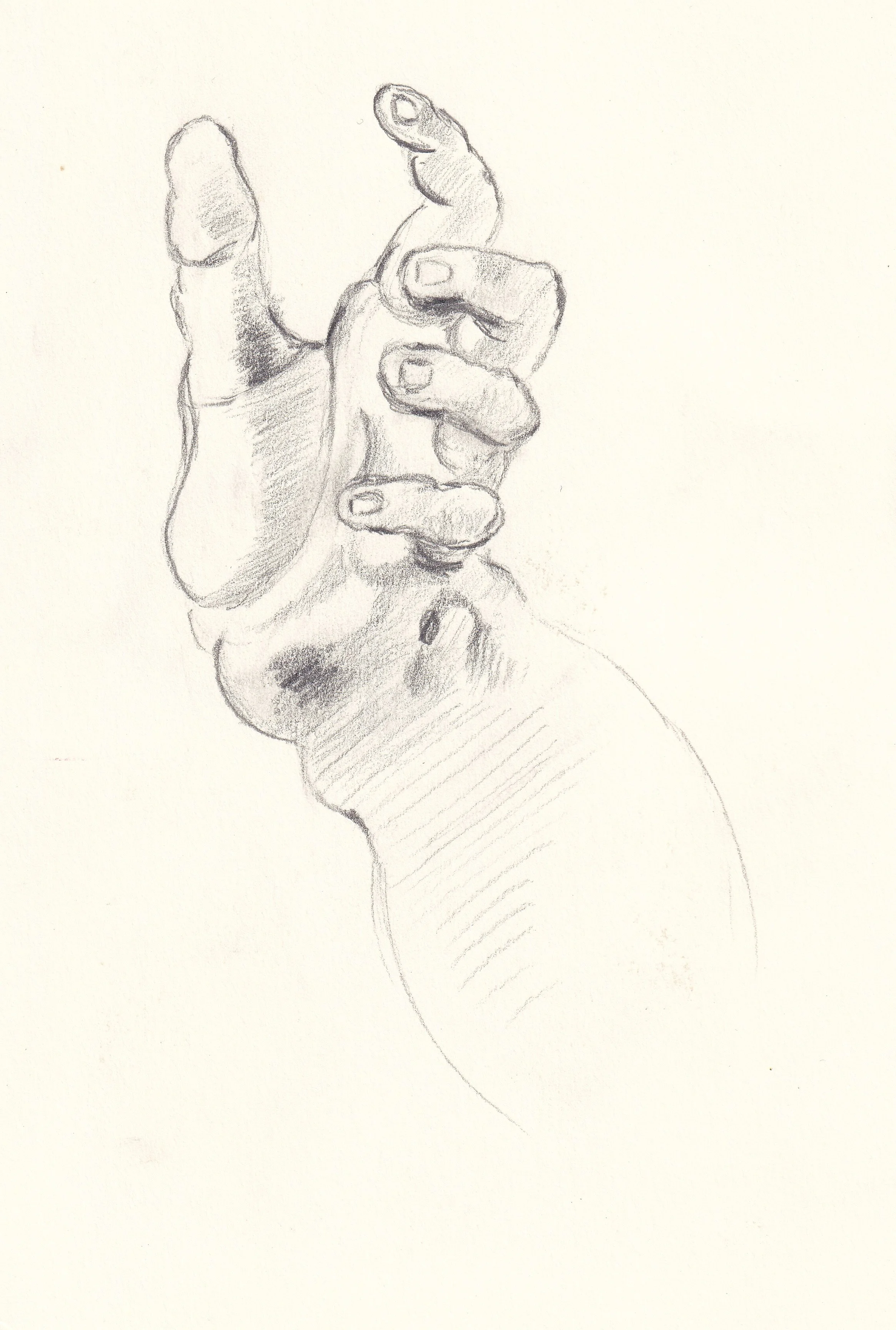 Hand, Study after Michelangelo / Pencil on paper, 2019