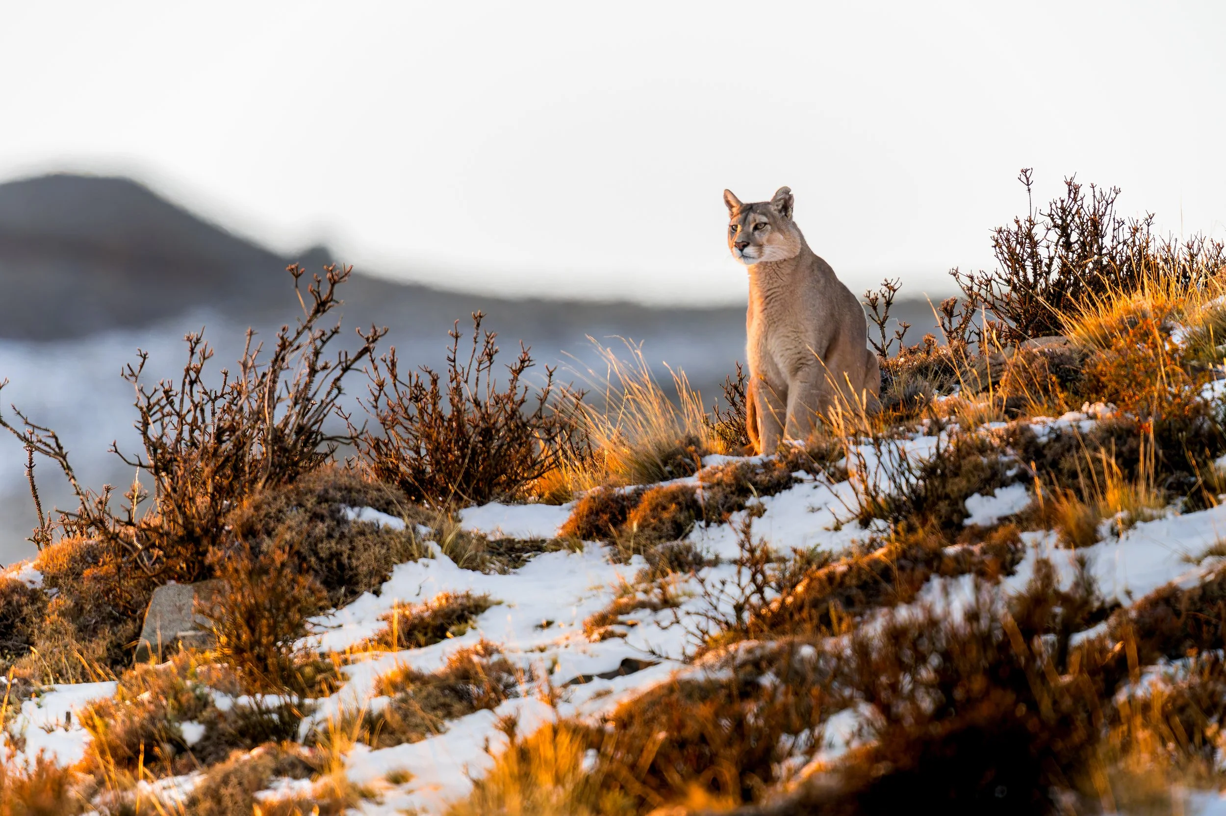 DSC_0765-DxO_DeepPRIME XD2s_XD.jpg