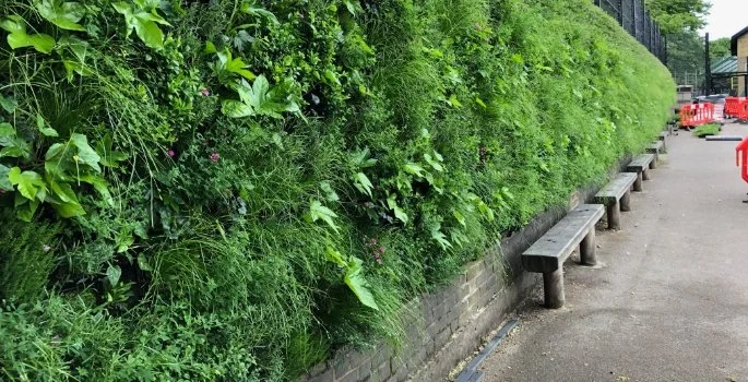 Biophilic Design: Bringing the Outdoors In&nbsp;The Classroom