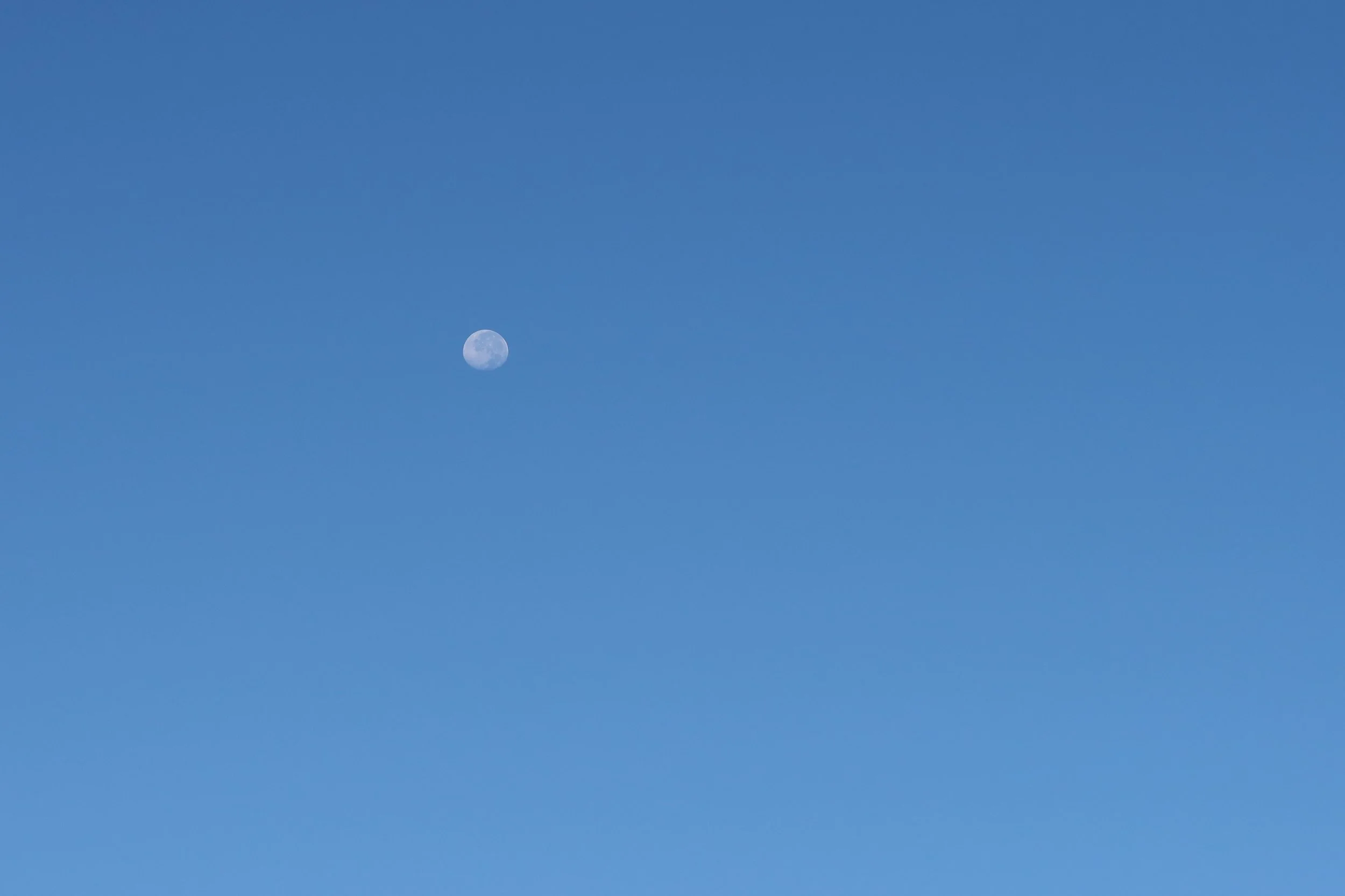 Copy of IMG_0780.JPG