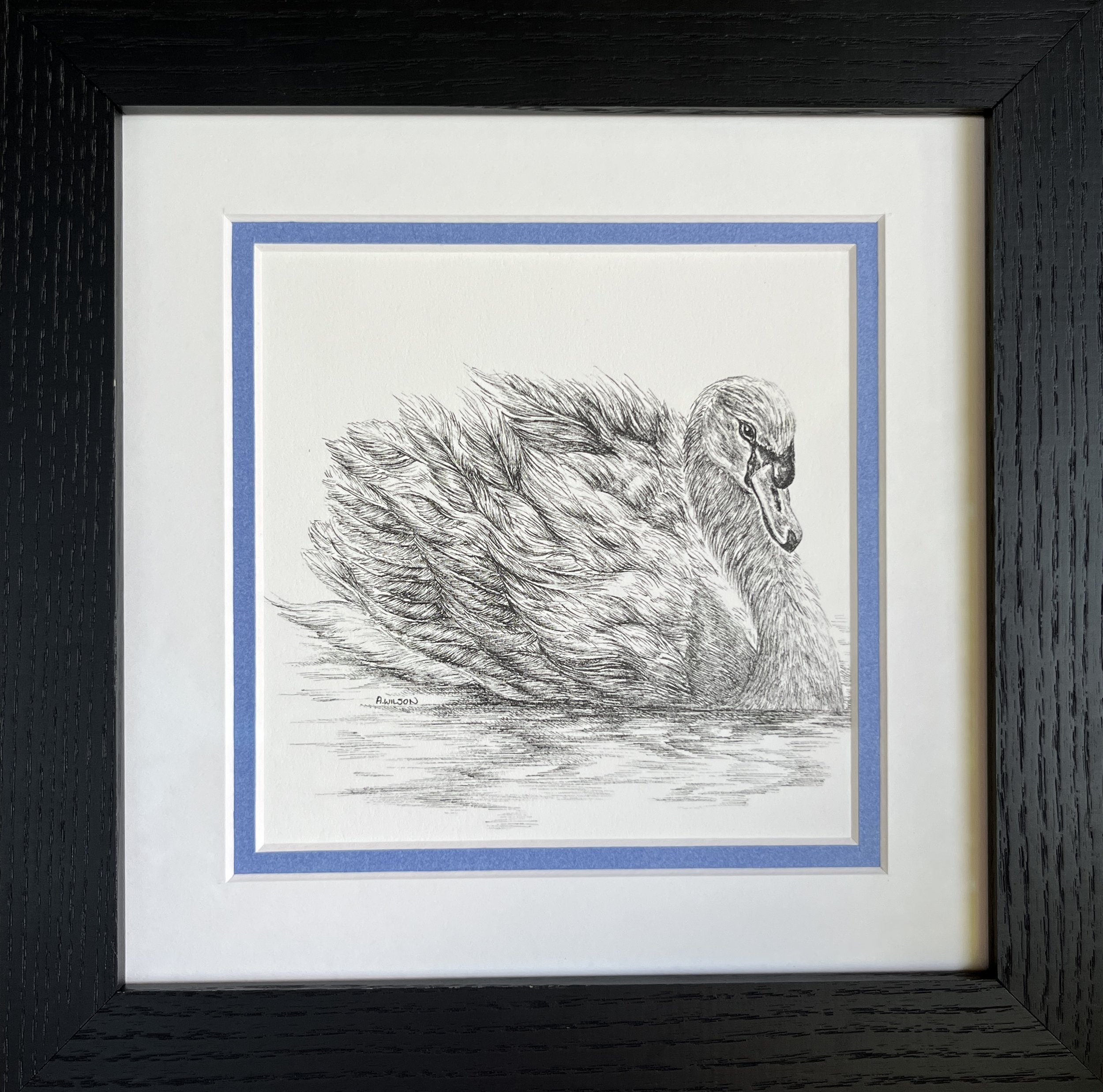 "Glide", available through Westland Gallery