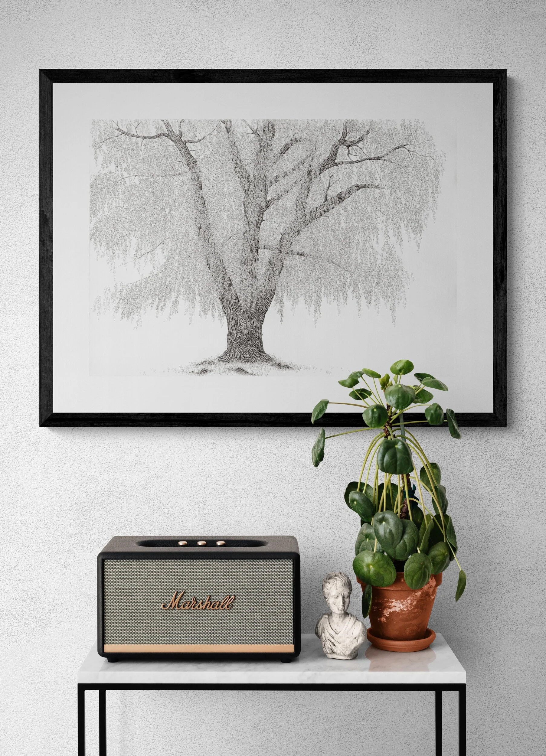 console-table-with-a-speaker-and-potted-plant (1).jpg