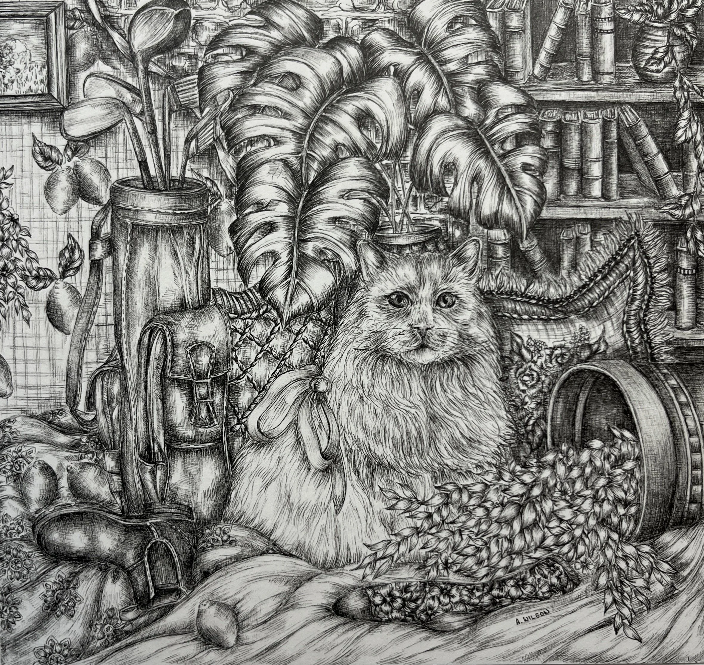 No Dogs Allowed 2024 SOLD