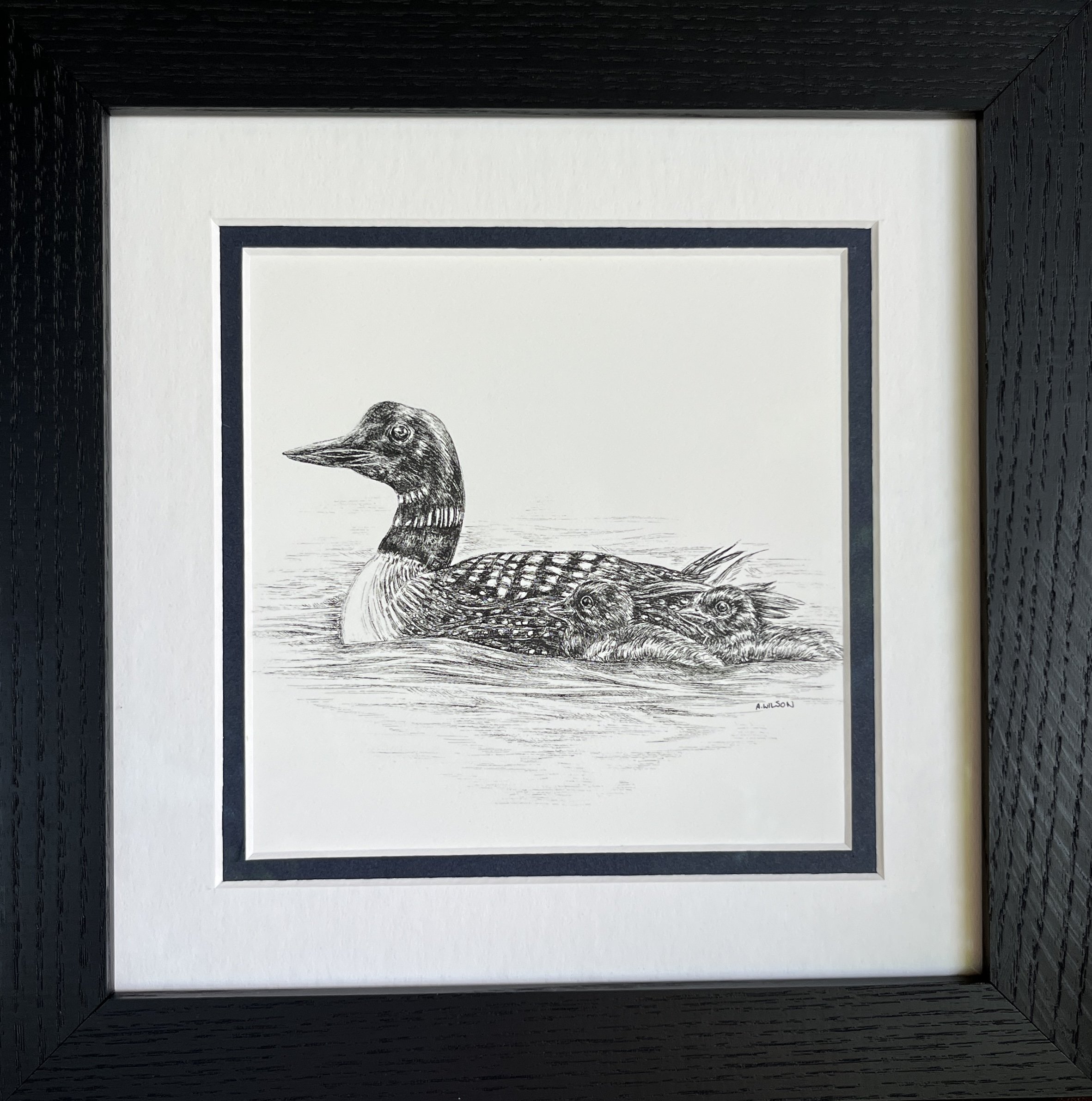 "The Loon Family", available through Westland Gallery