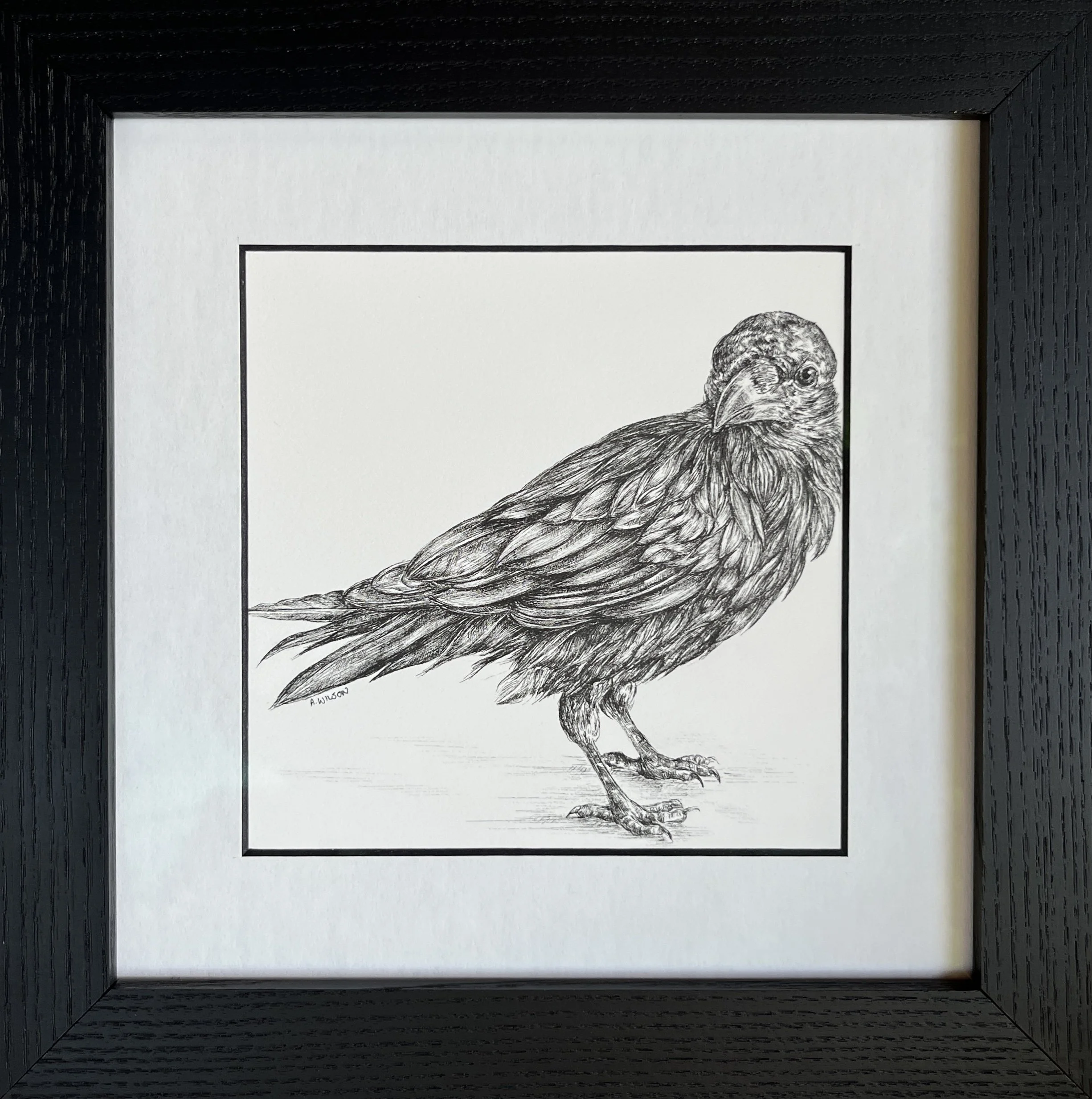 "The Observer", available through Westland Gallery