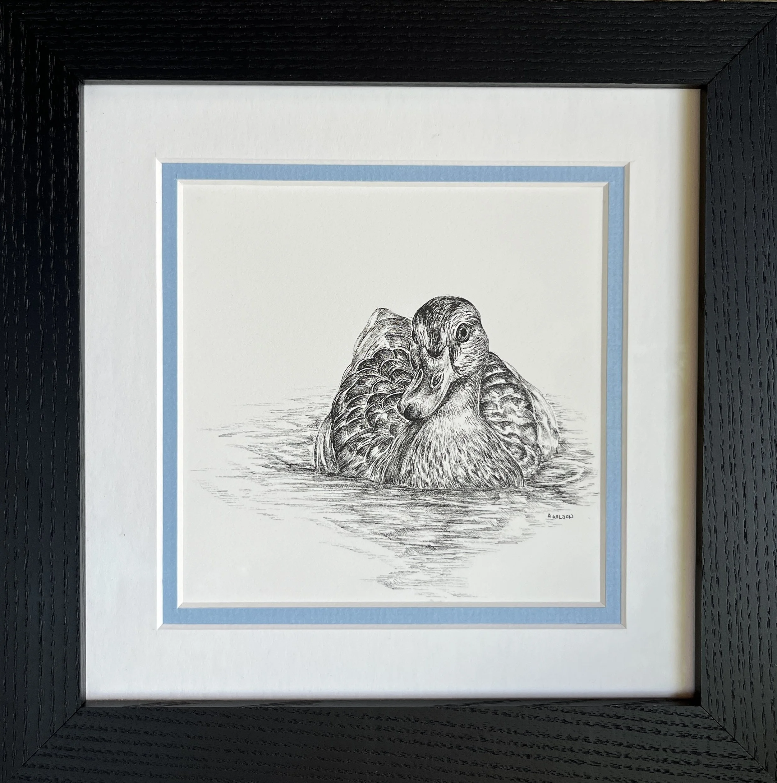 "Splish", available through Westland Gallery