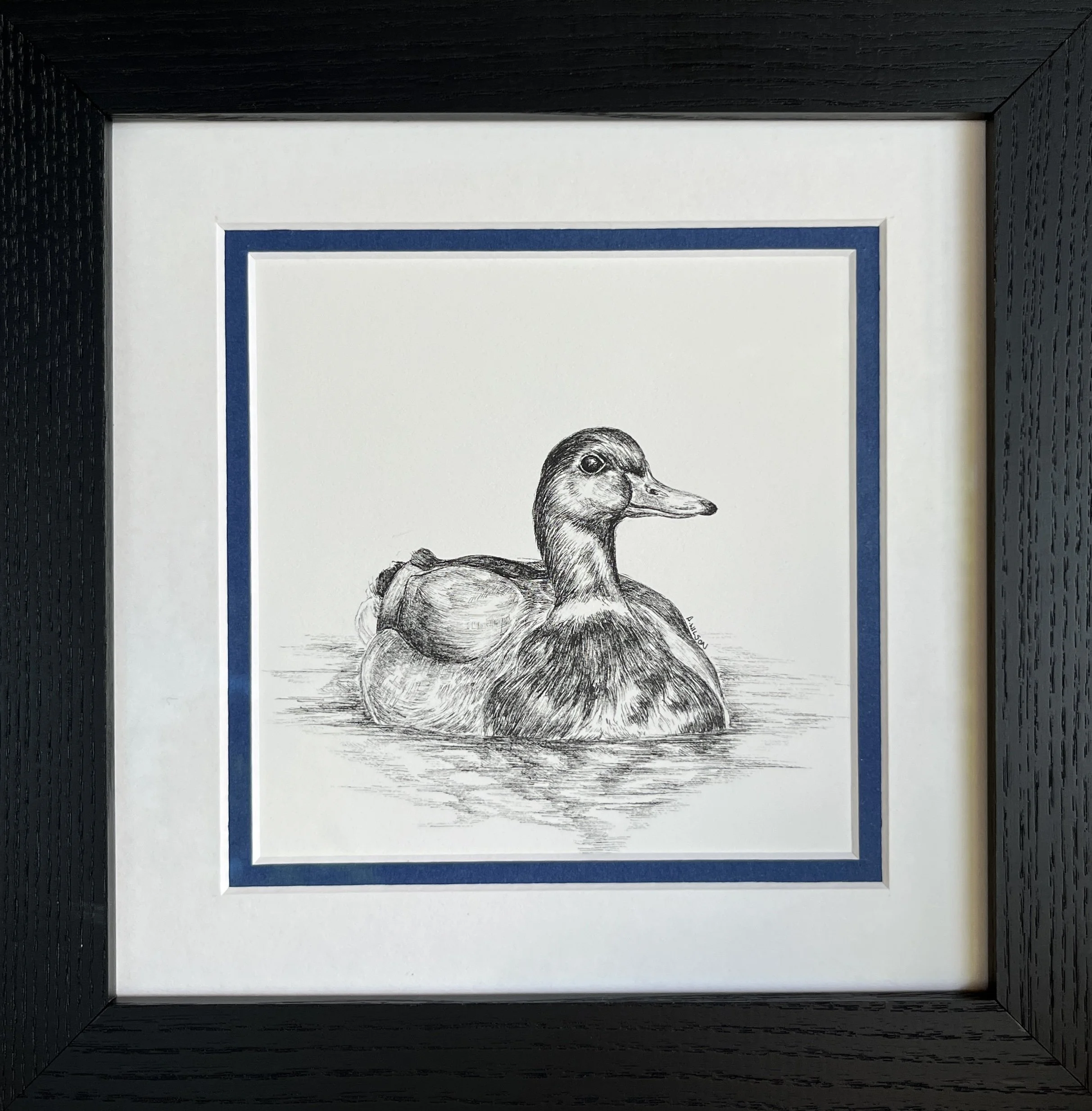 "Splash", available through Westland Gallery